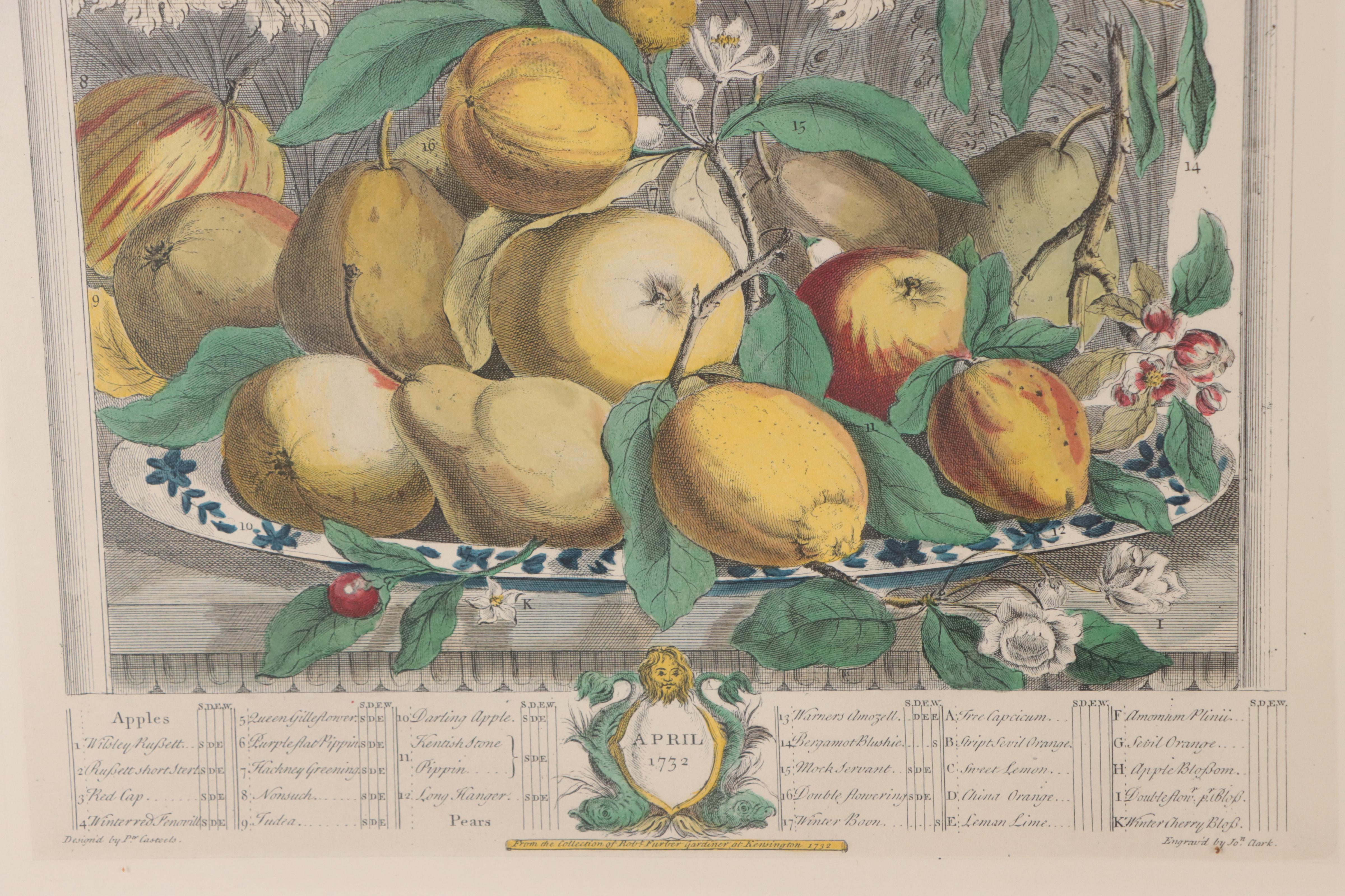 Pair of Hand-Colored Collotypes of Fruit After Pieter Casteeles
