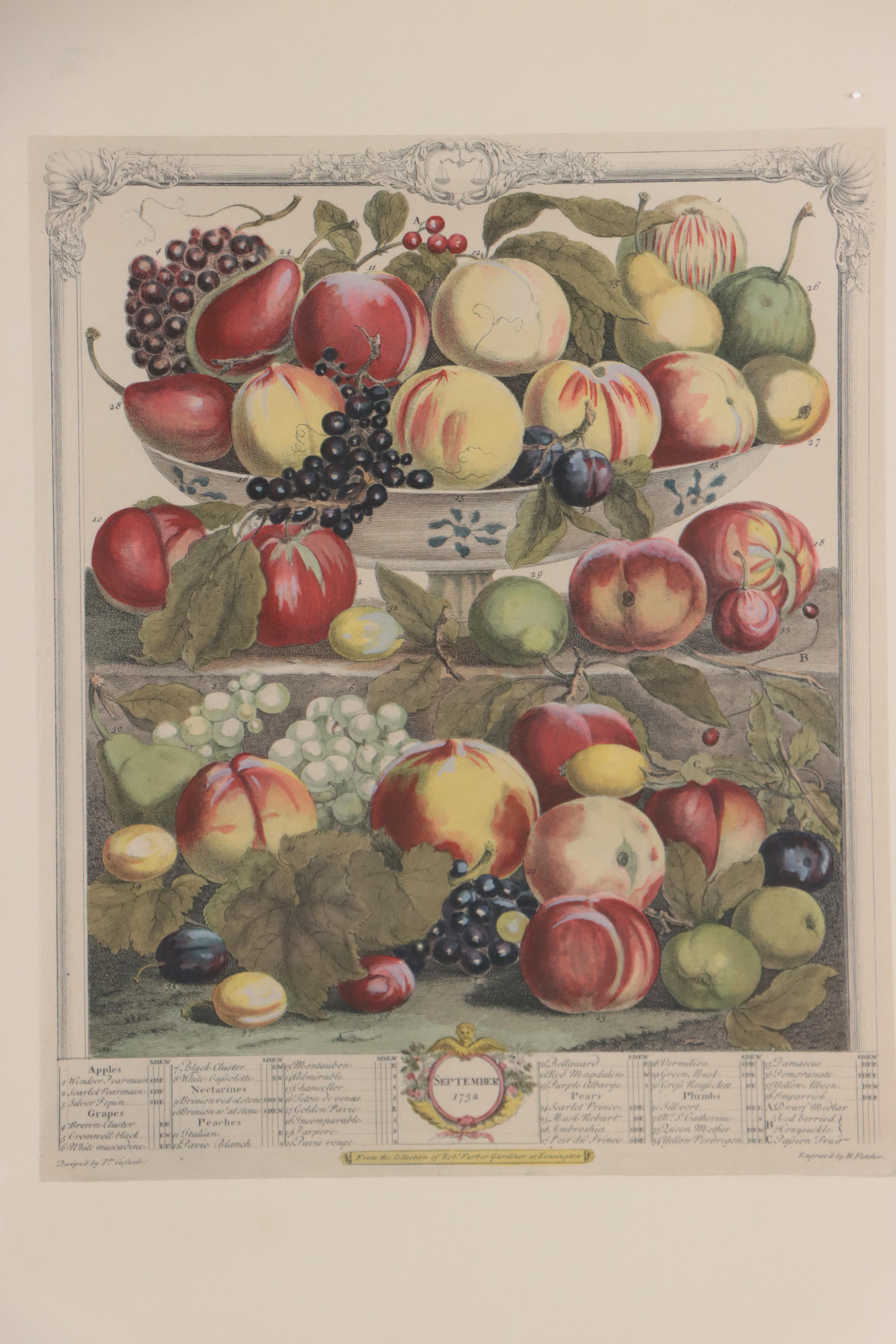 Pair of Hand-Colored Collotypes of Fruit After Pieter Casteeles