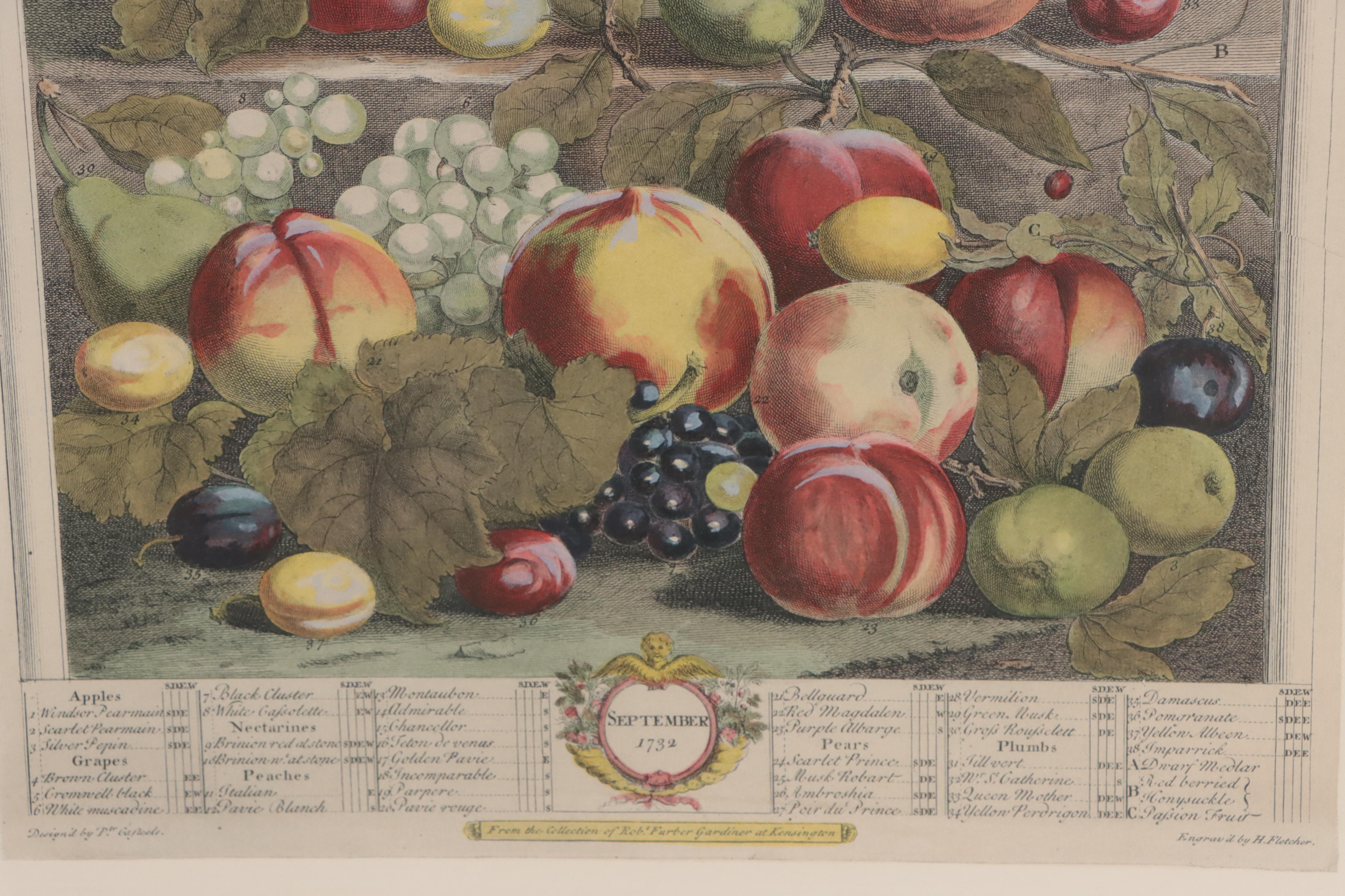 Pair of Hand-Colored Collotypes of Fruit After Pieter Casteeles