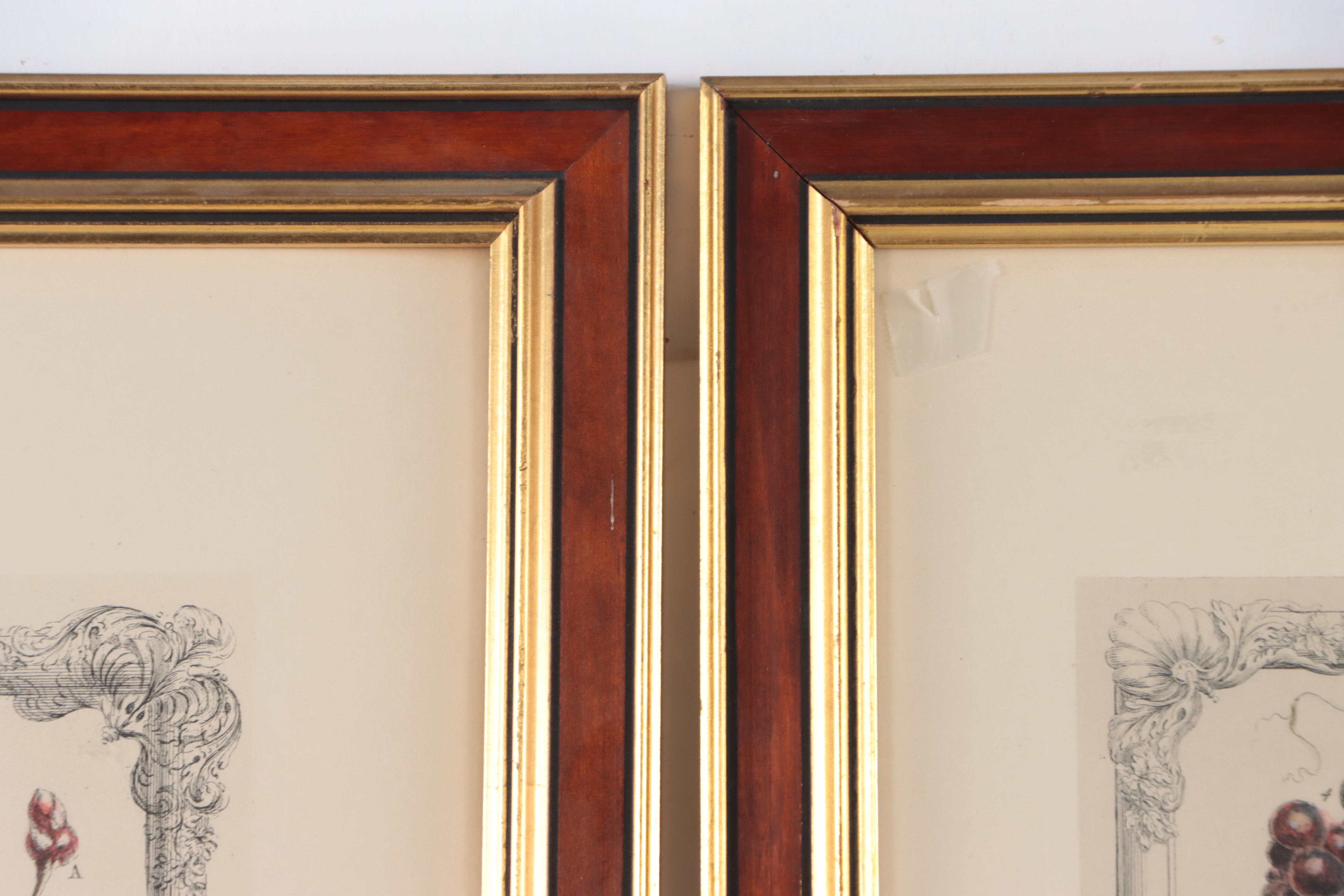 Pair of Hand-Colored Collotypes of Fruit After Pieter Casteeles