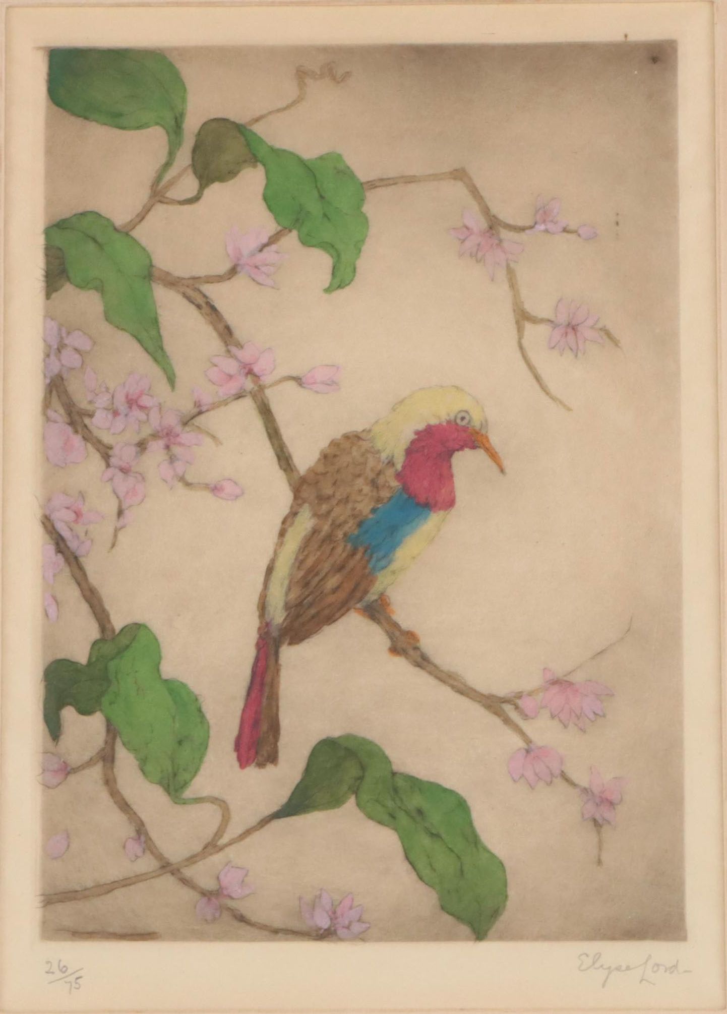 Elyse Lord Hand-Colored Etching with Drypoint of Bird