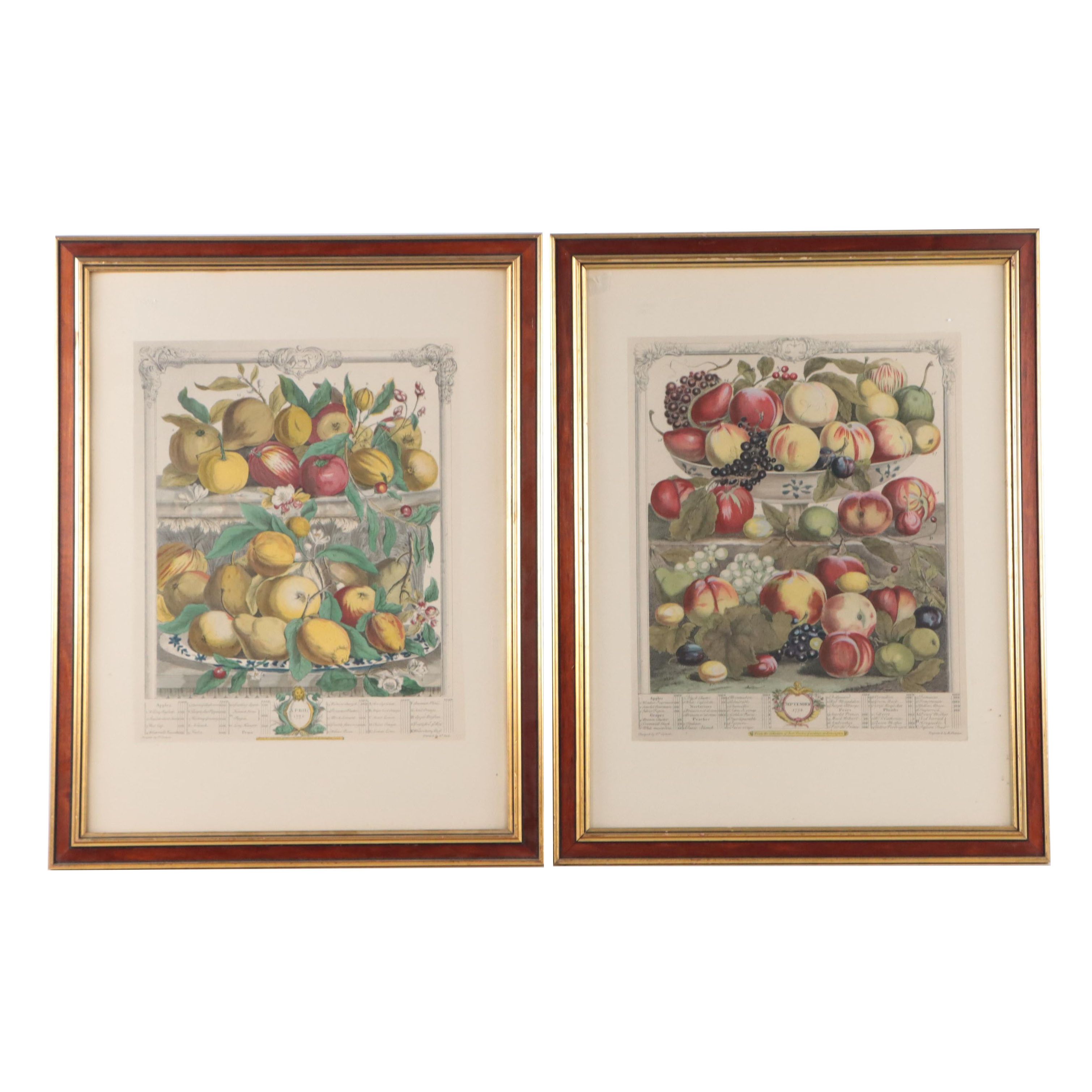 Pair of Hand-Colored Collotypes of Fruit After Pieter Casteeles