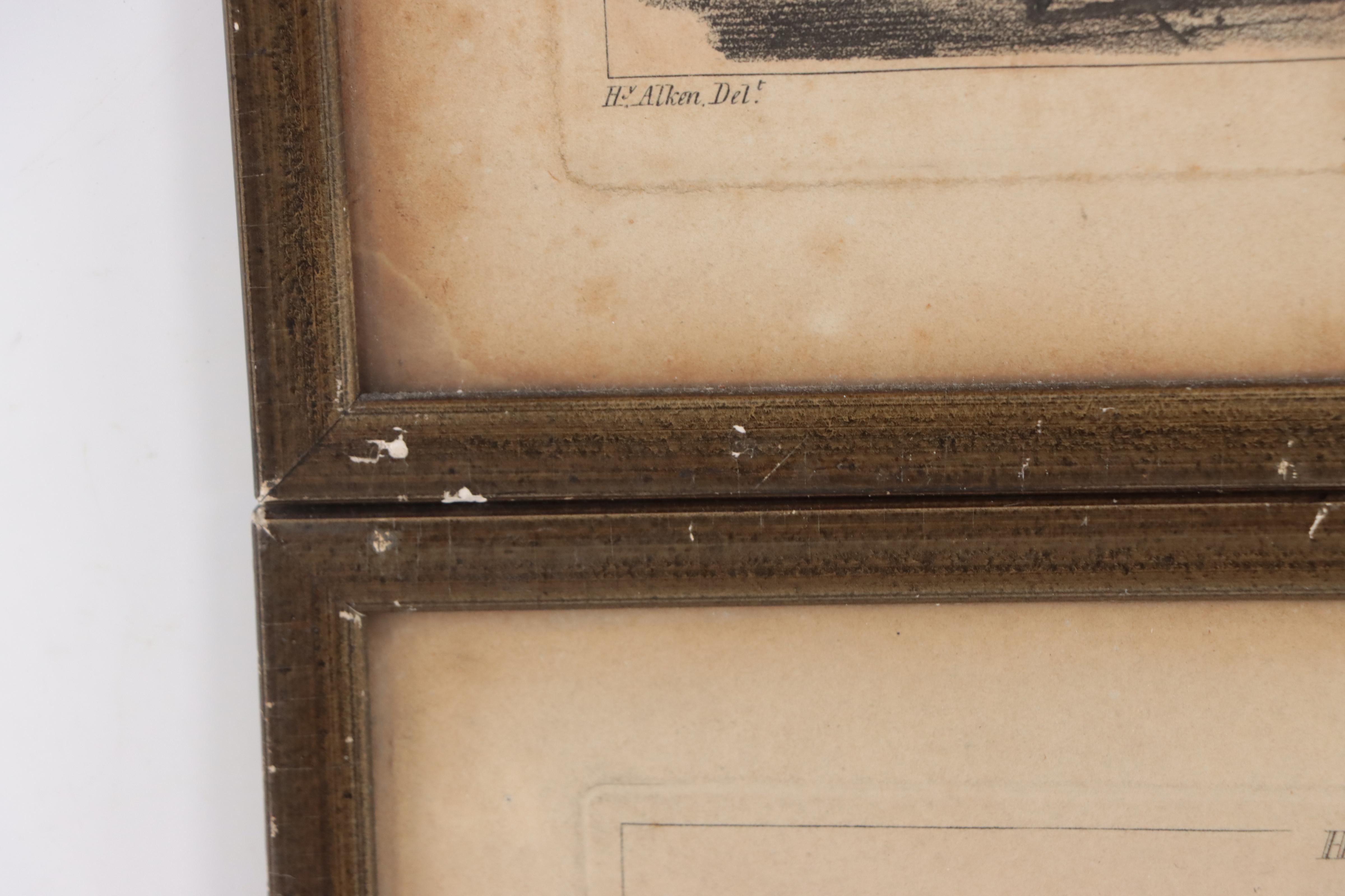 Hand-Colored Etchings After Henry Alken of Dog Fights, 19th Century