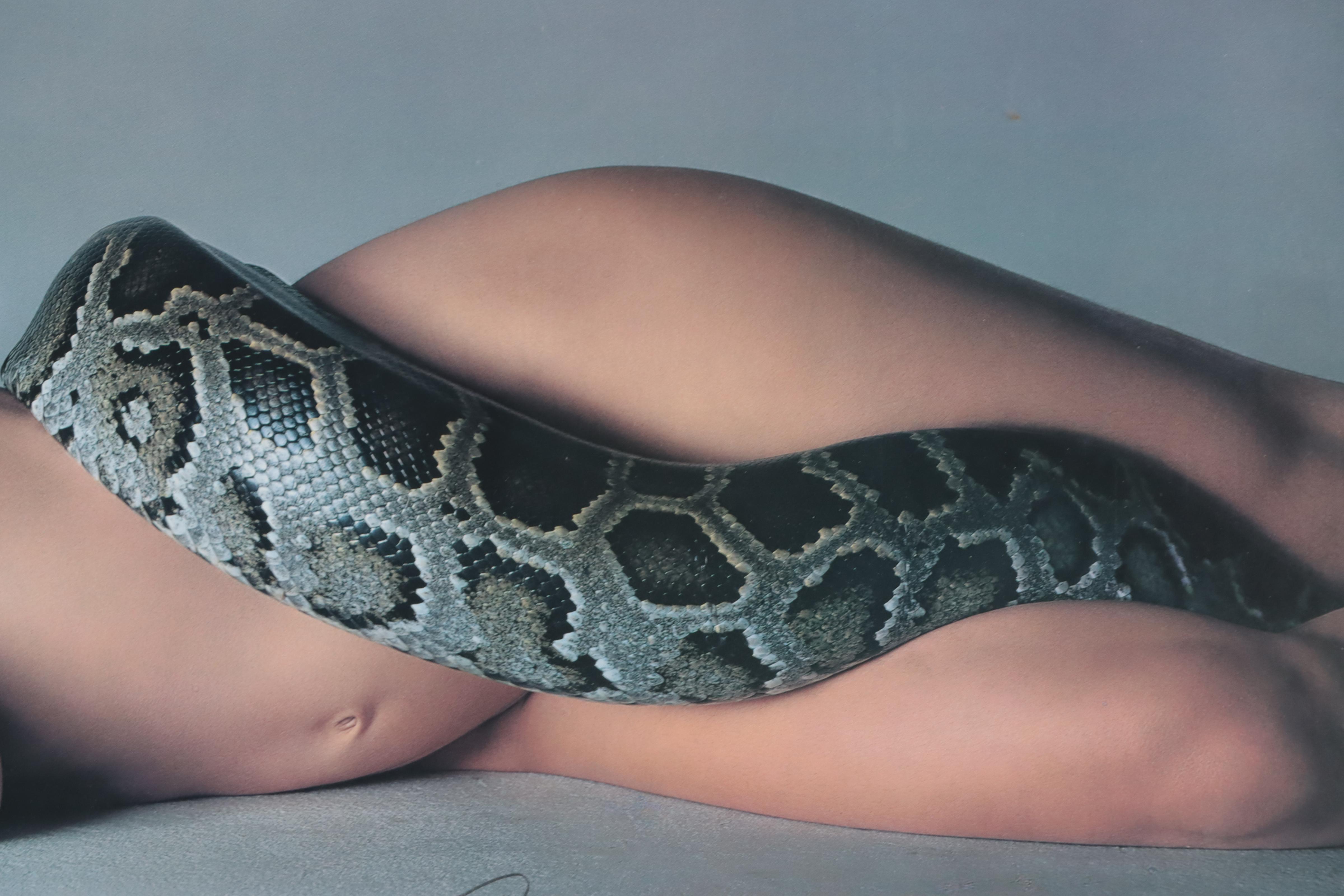 Richard Avedon Signed Poster "Nastassja Kinski and the Serpent," 1981
