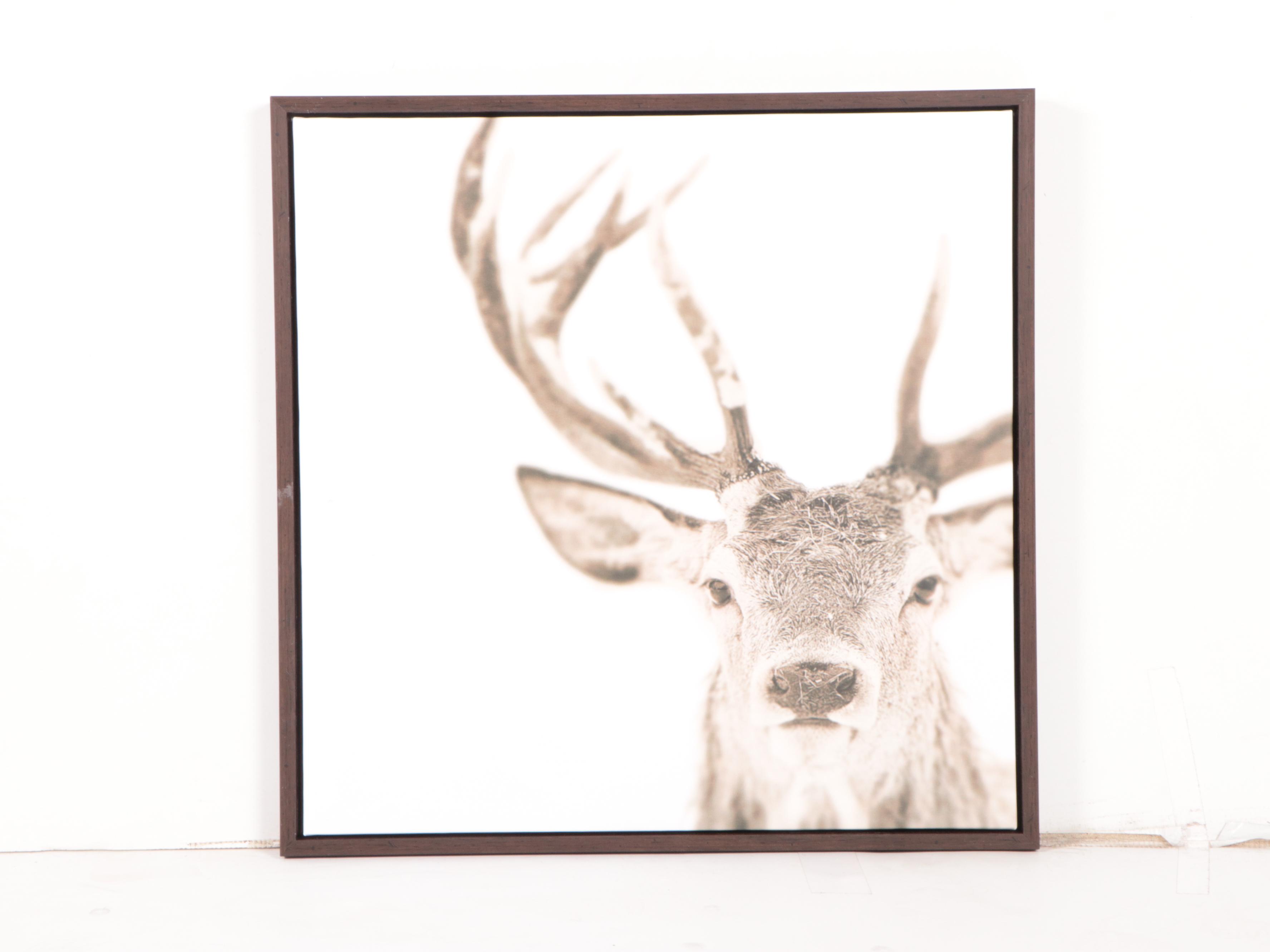 Threshold Deer Giclée Print with Pair of Cable Knit Throw Pillows