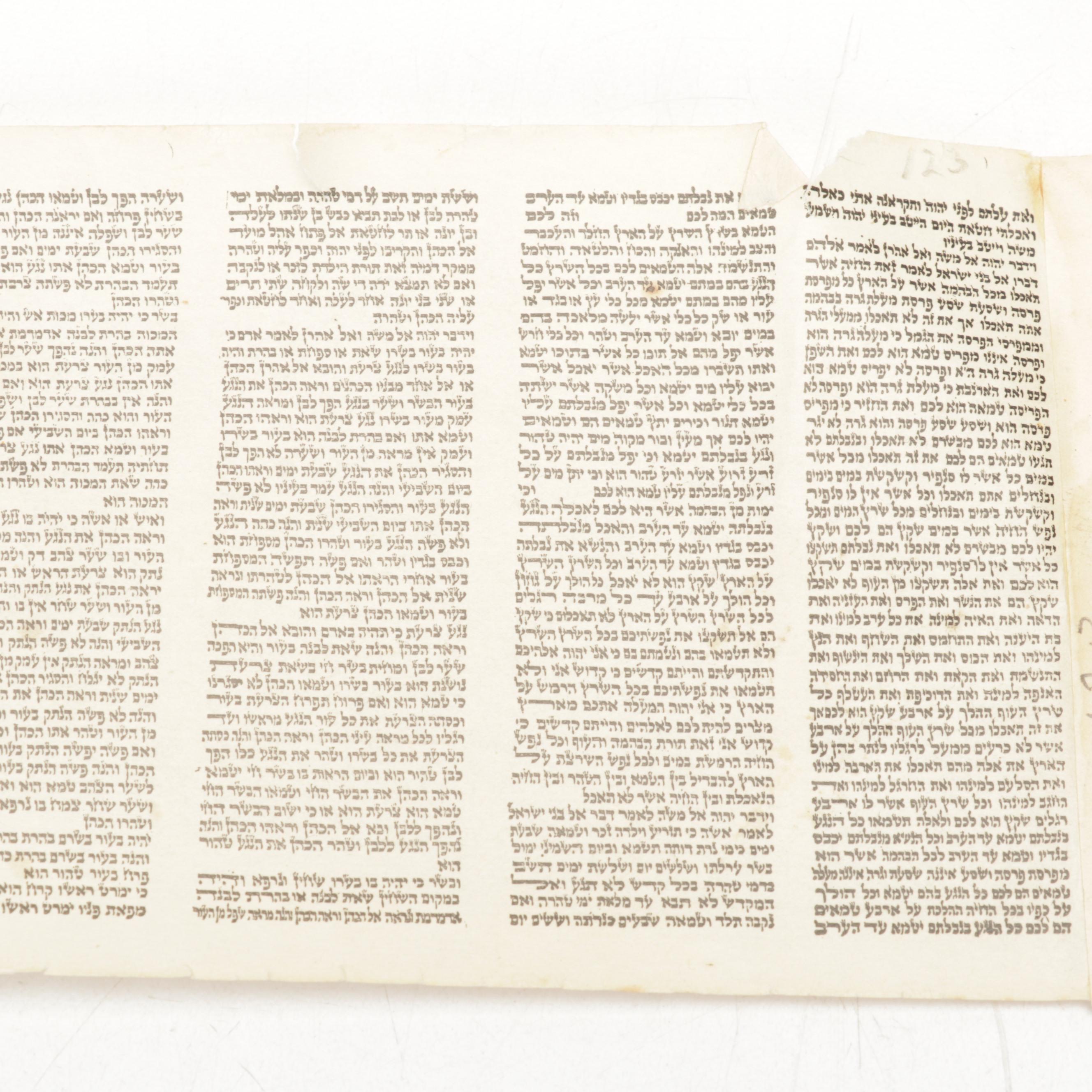Hebrew Torah Scroll with Cover