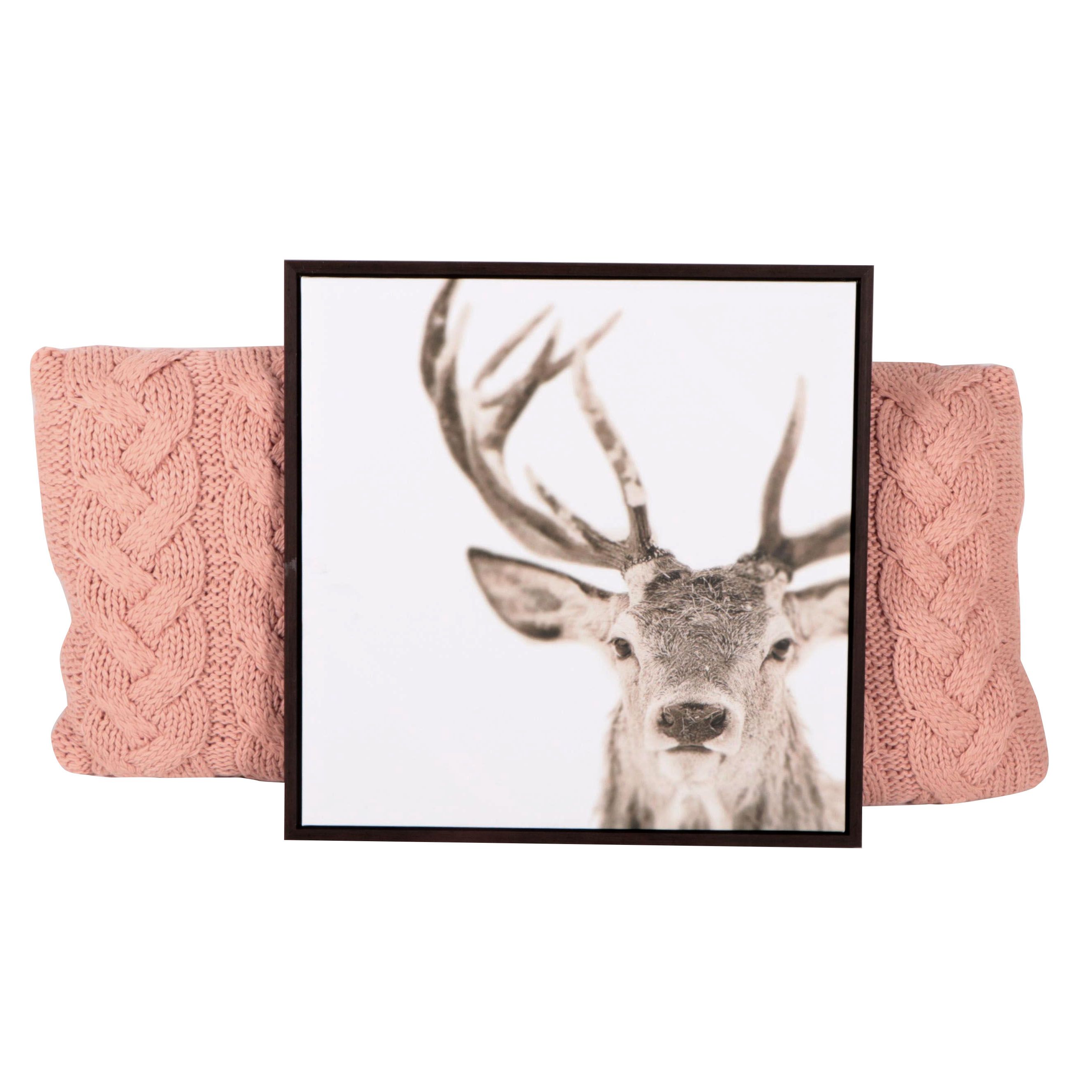 Threshold Deer Giclée Print with Pair of Cable Knit Throw Pillows