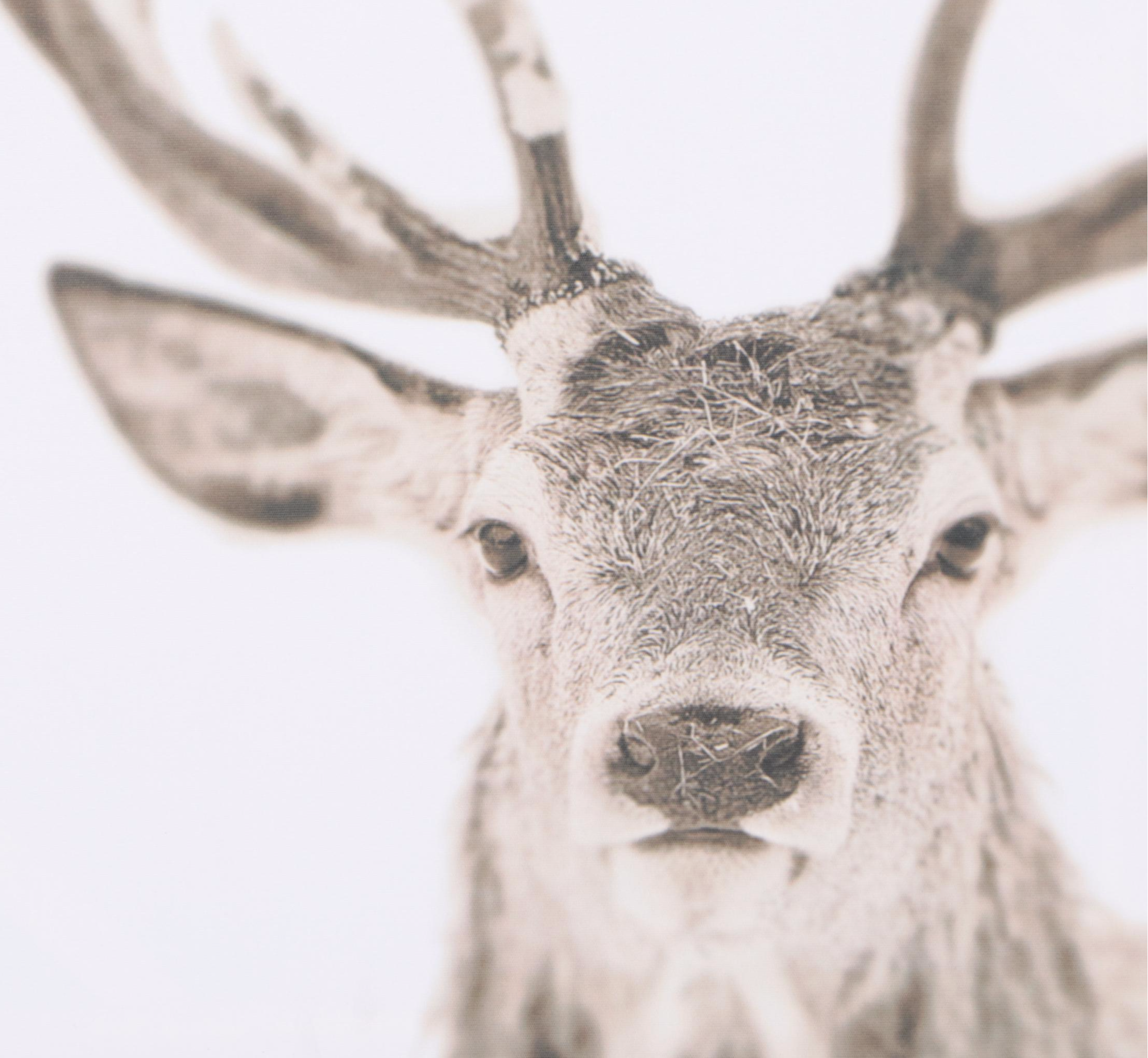 Threshold Reindeer and Wood Stack Wall Art Prints with Two Wall Shelves