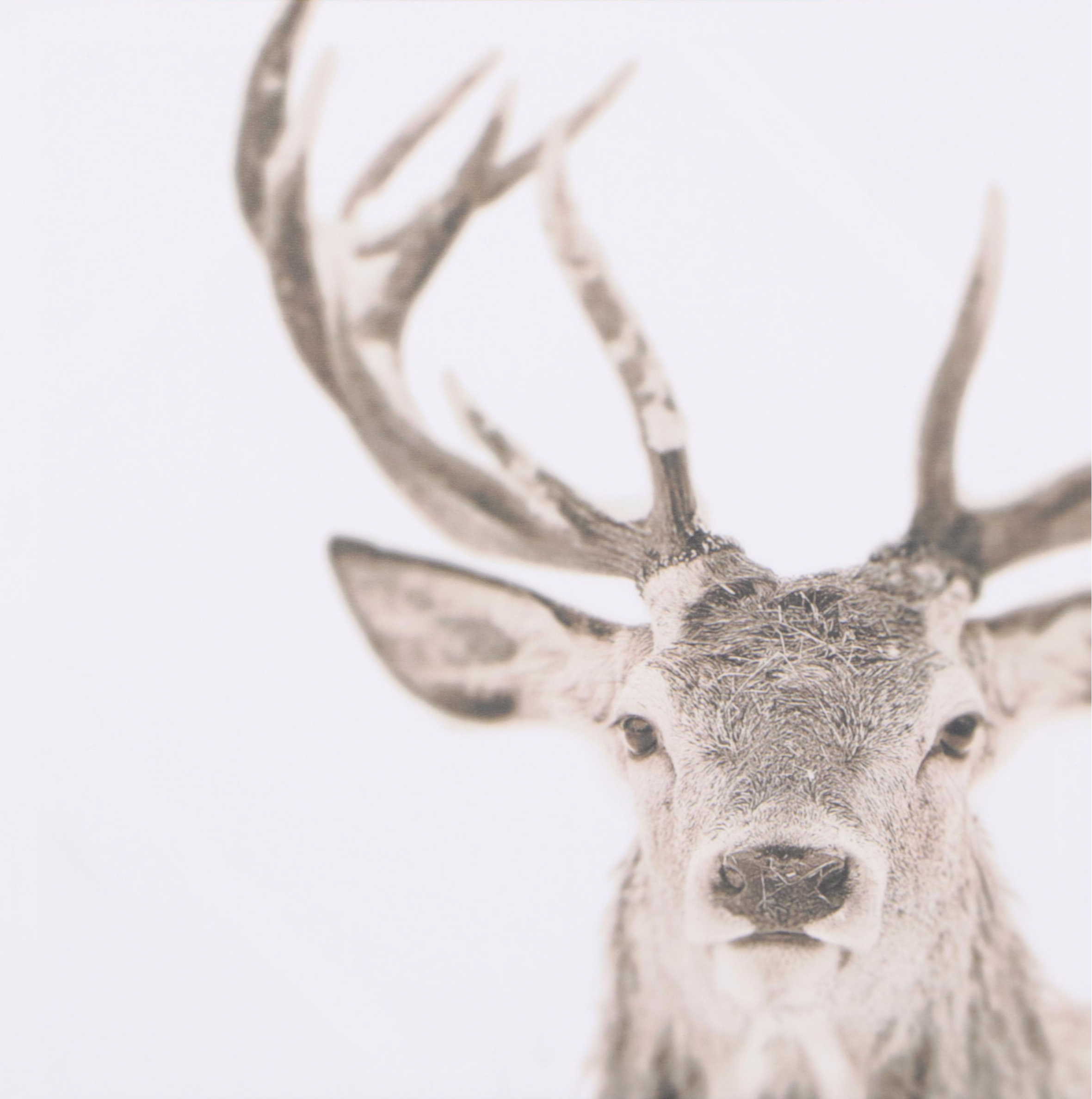 Threshold Reindeer and Wood Stack Wall Art Prints with Two Wall Shelves