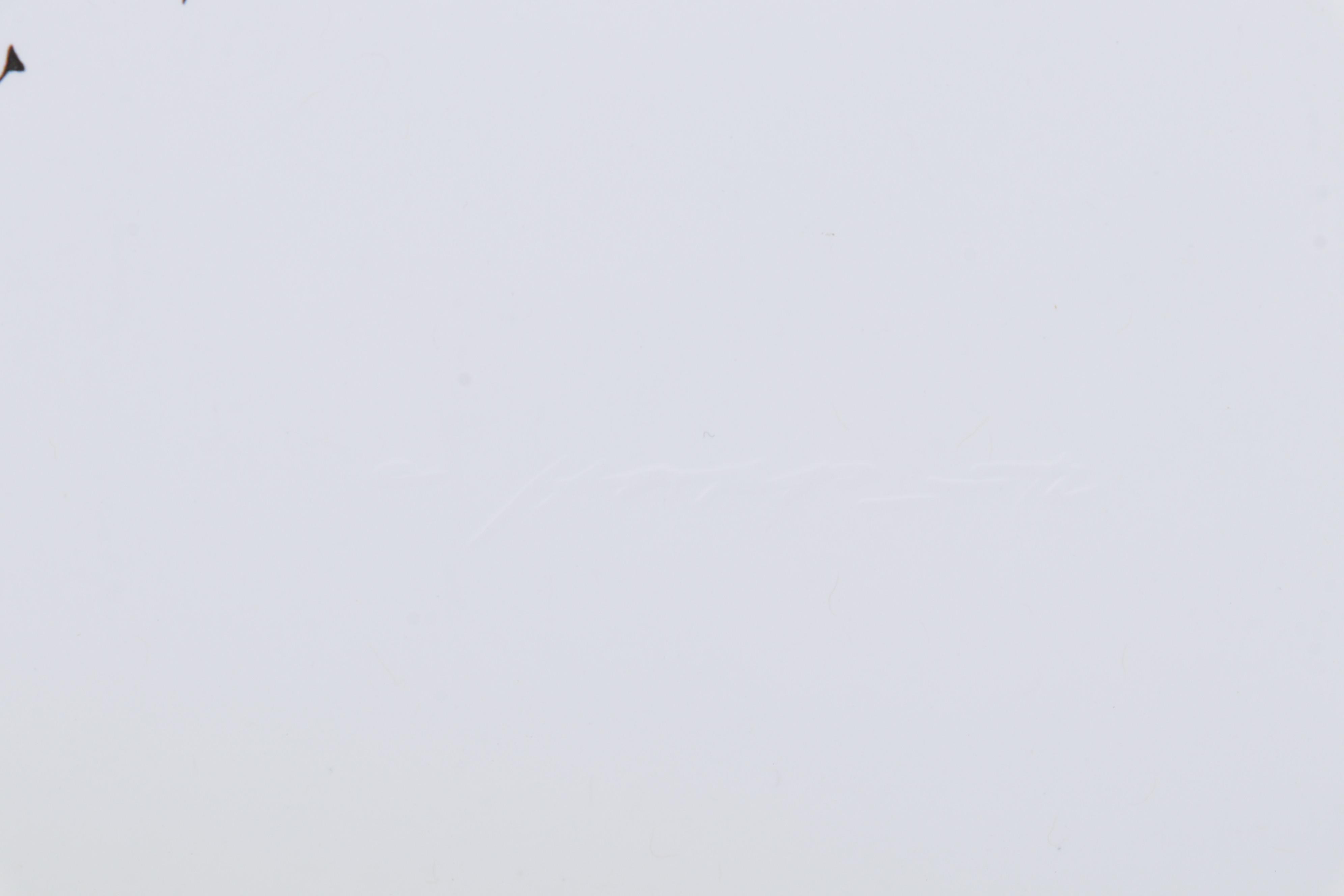 Offset Lithograph After Charley Harper "Cardinal Cuisine," circa 2002