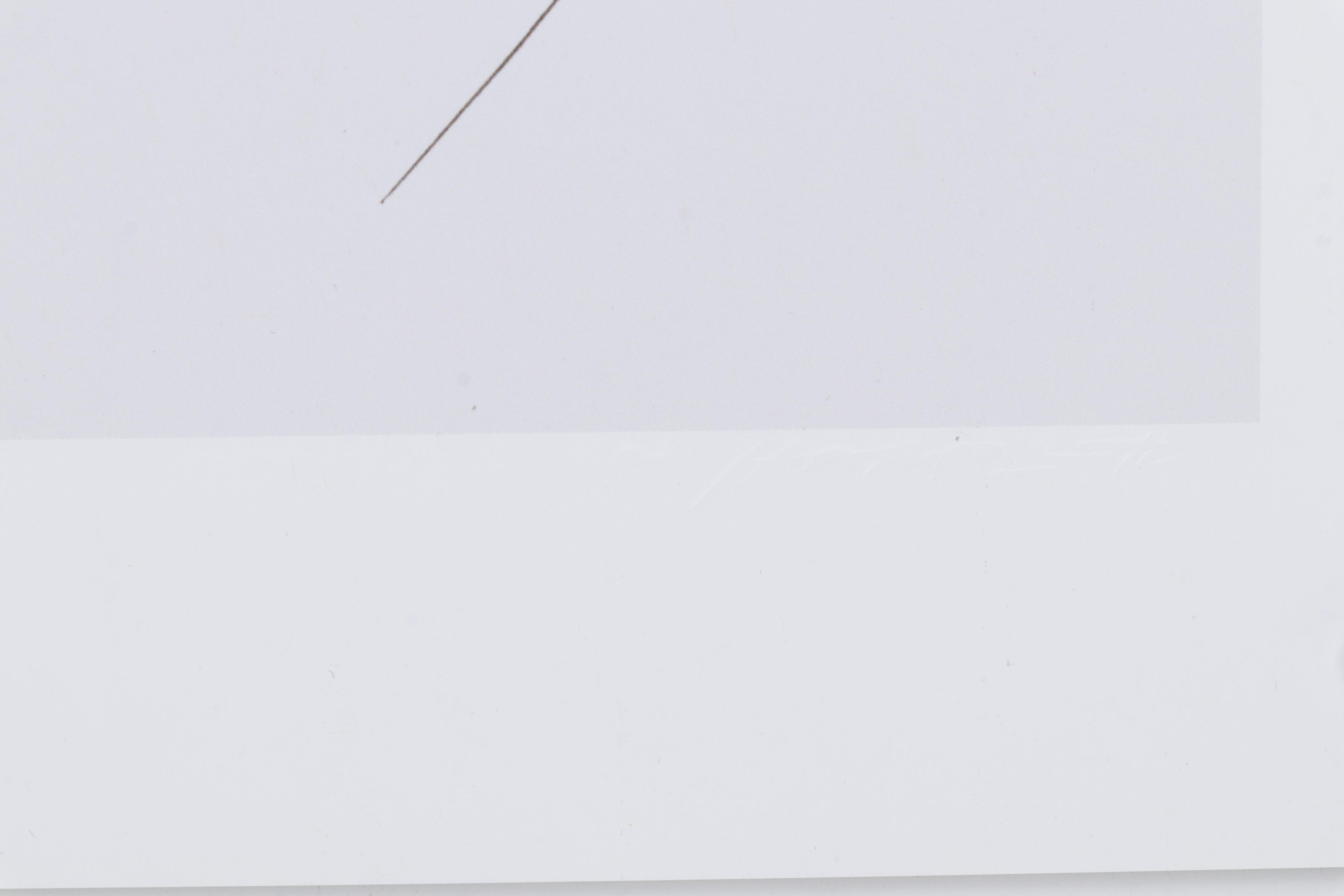 Offset Lithograph After Charley Harper "Neck and Neck," Circa 2009