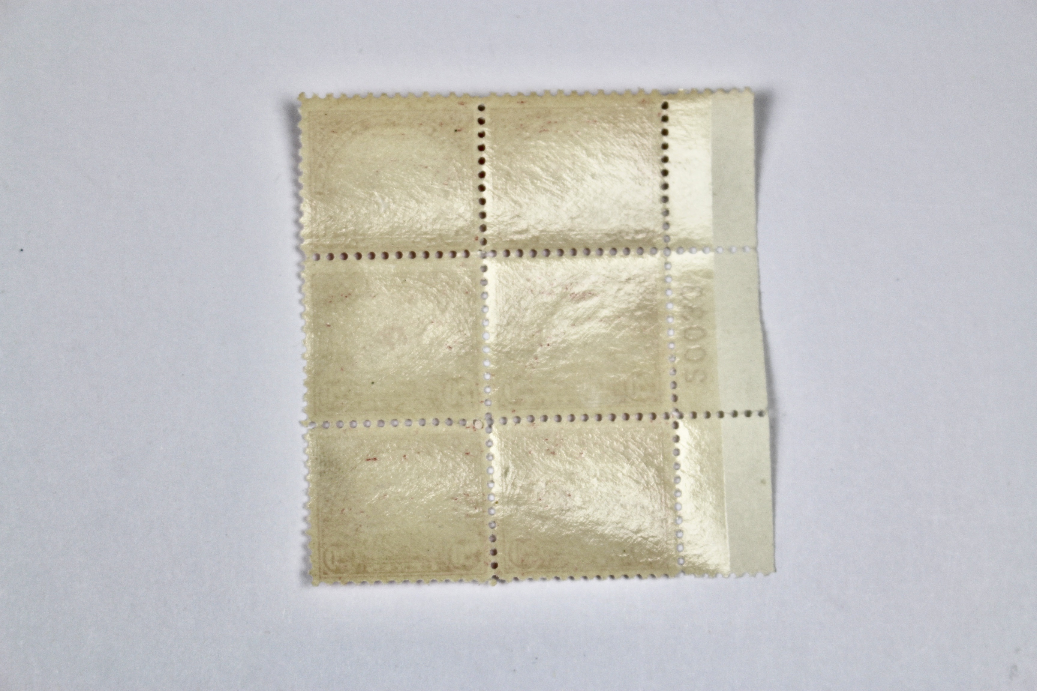 Mint Never Hinged 1923 20-Cent Golden Gate Plate Block, Scott #567