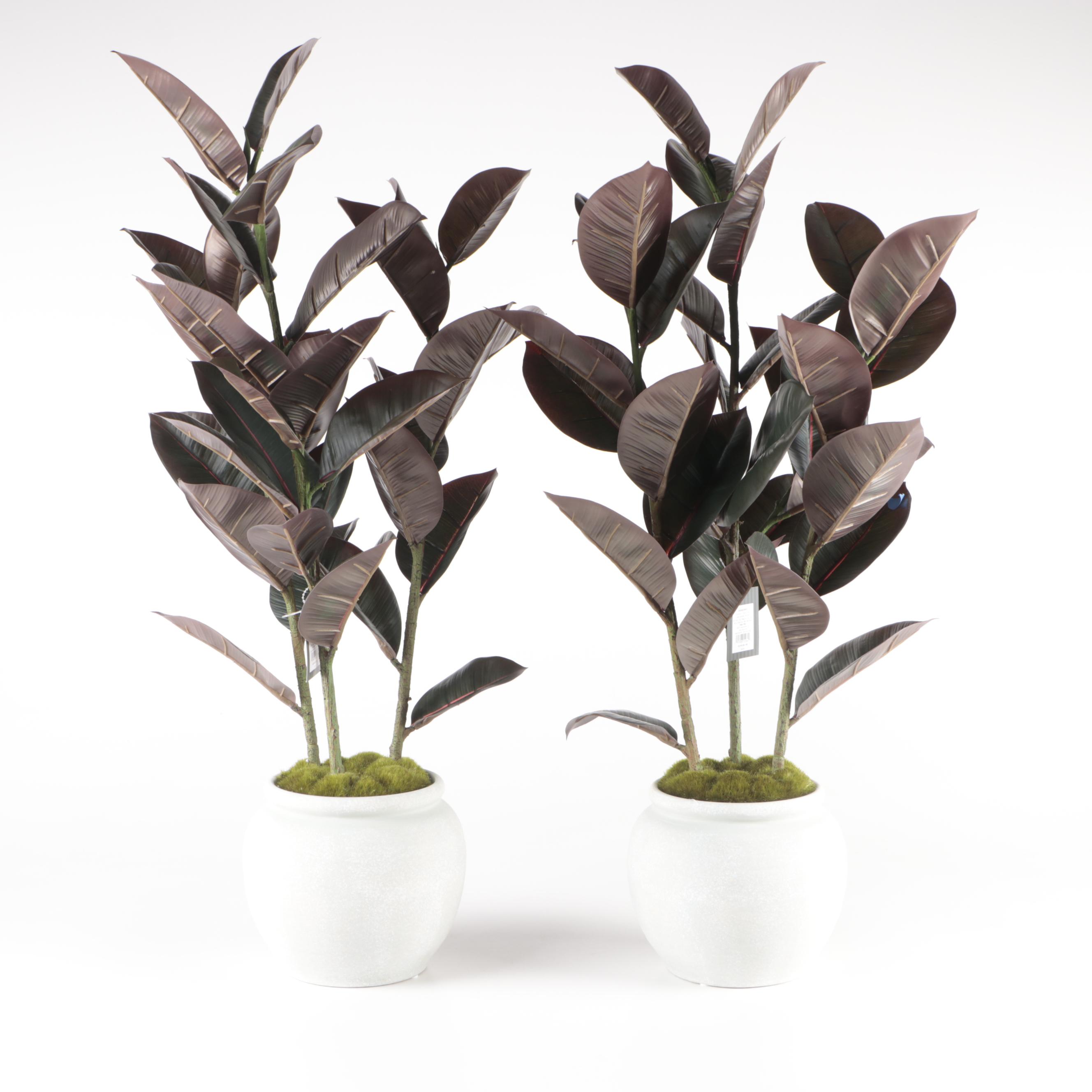 Two Threshold with Studio McGee Artificial Burgundy Rubber Trees in Ceramic Pots