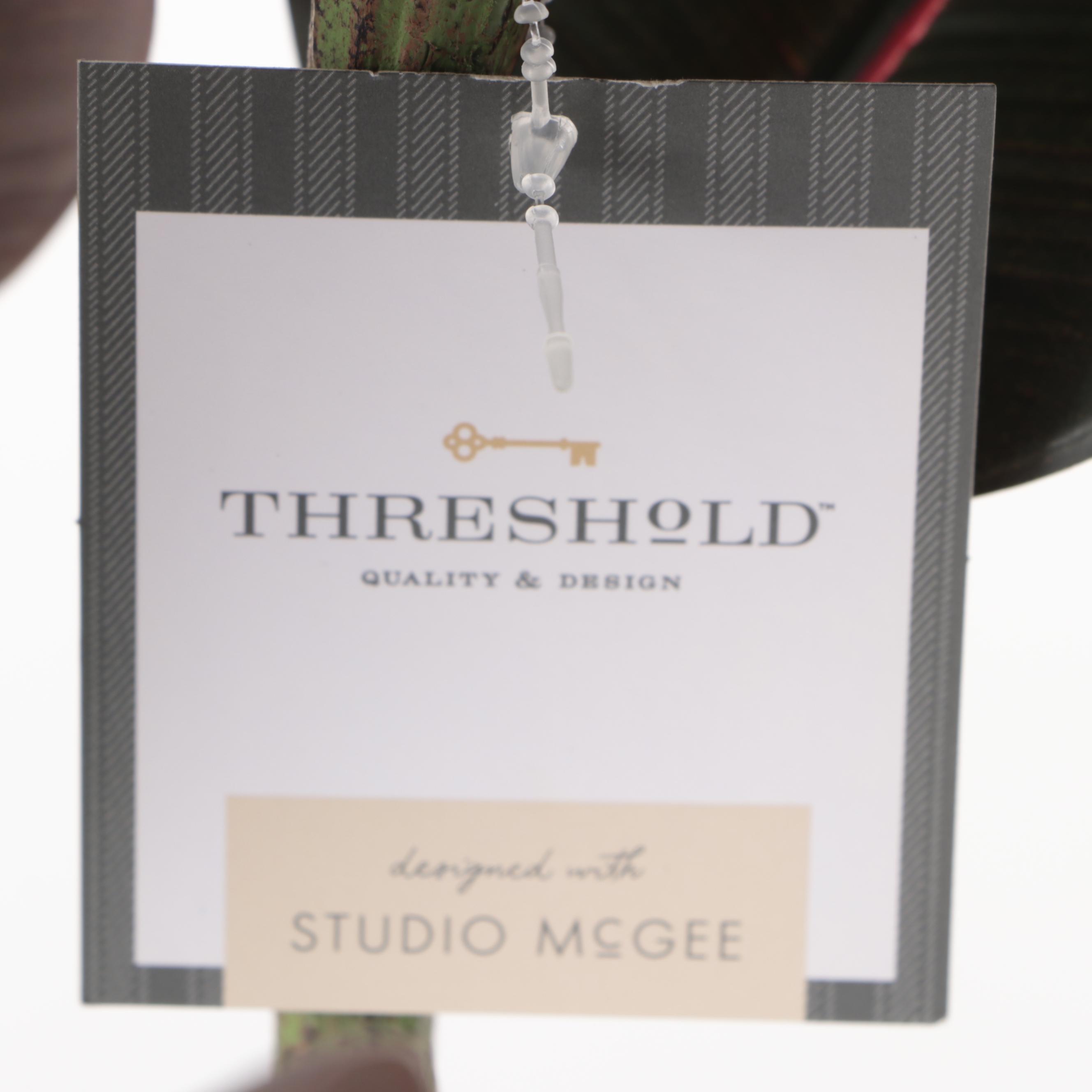 Two Threshold with Studio McGee Artificial Burgundy Rubber Trees in Ceramic Pots