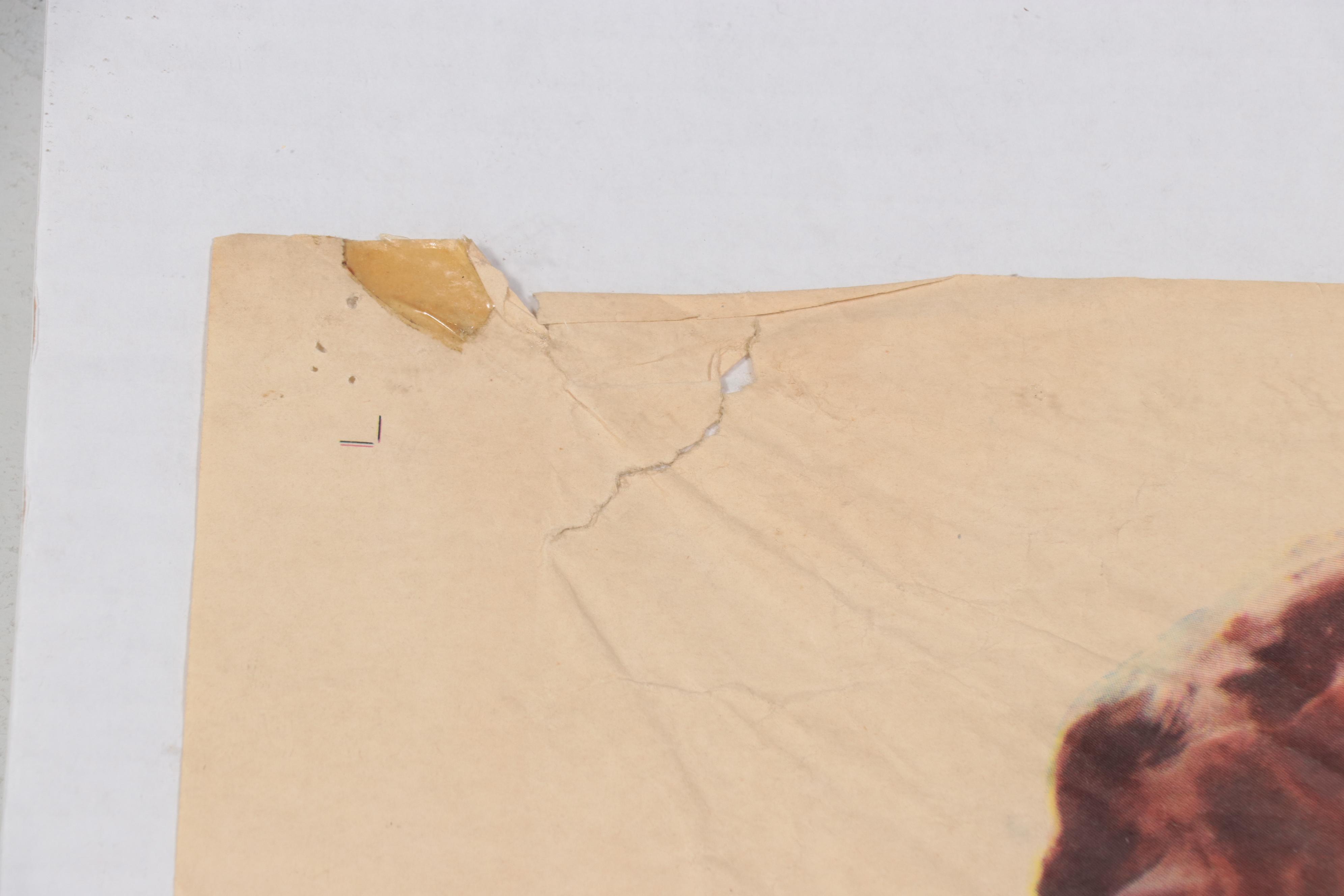 Film Release Poster "Pat and Mike," 1952