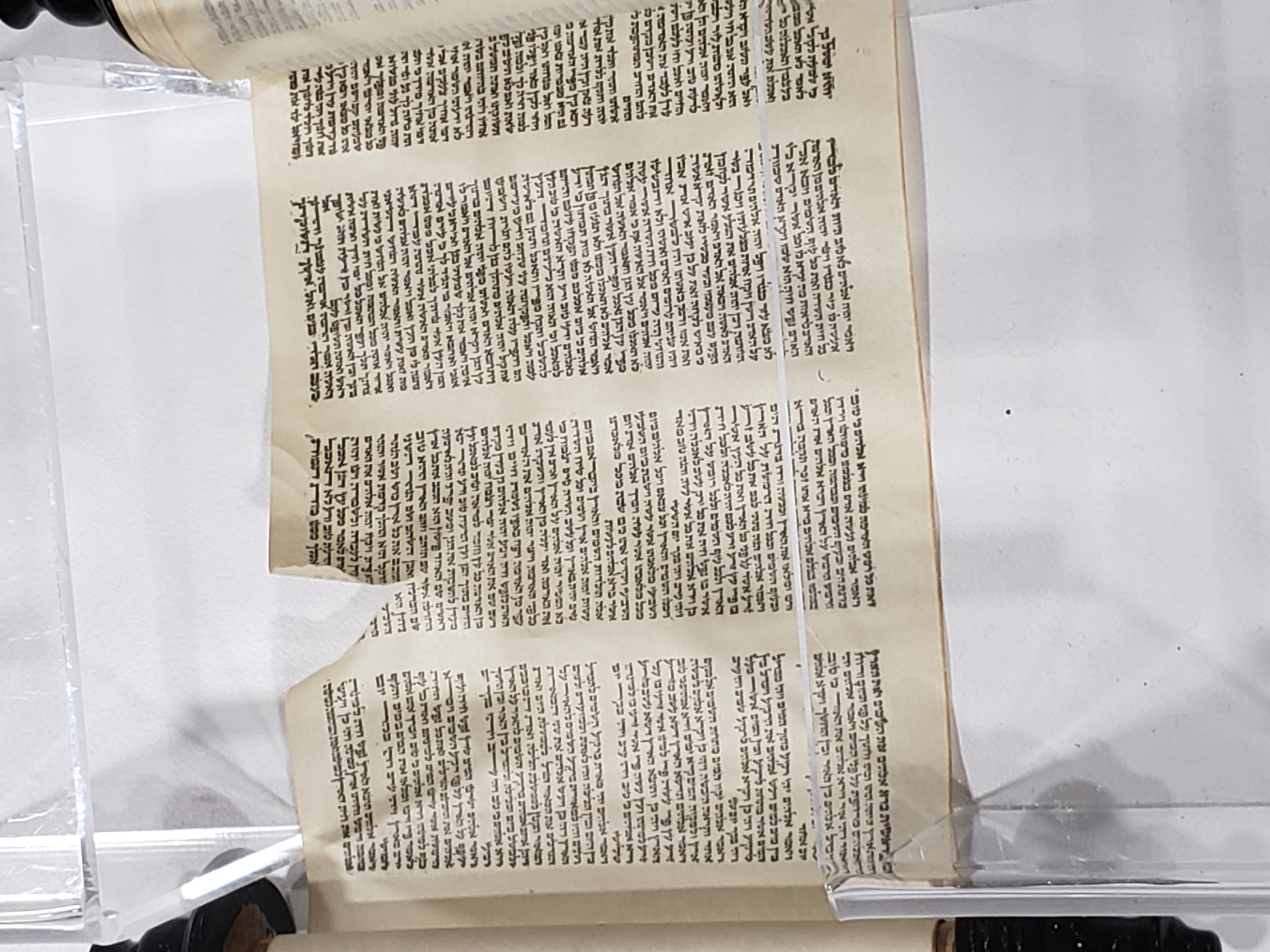 Hebrew Torah Scroll with Cover