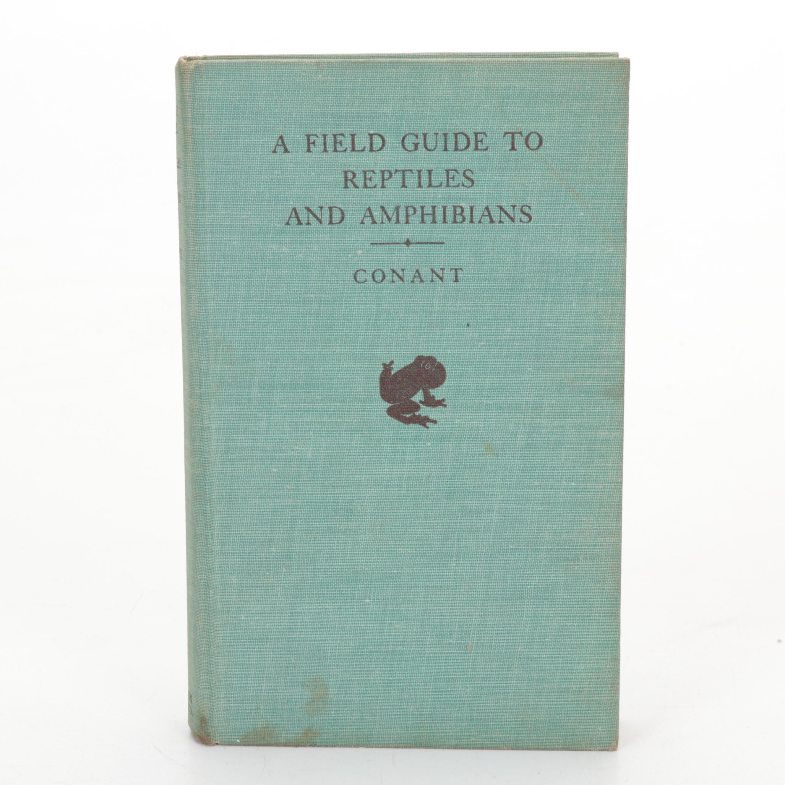 Coralene Glass Vase, Sea Shells, Fossil Coral, Fossil Shark Teeth, Wooden Box