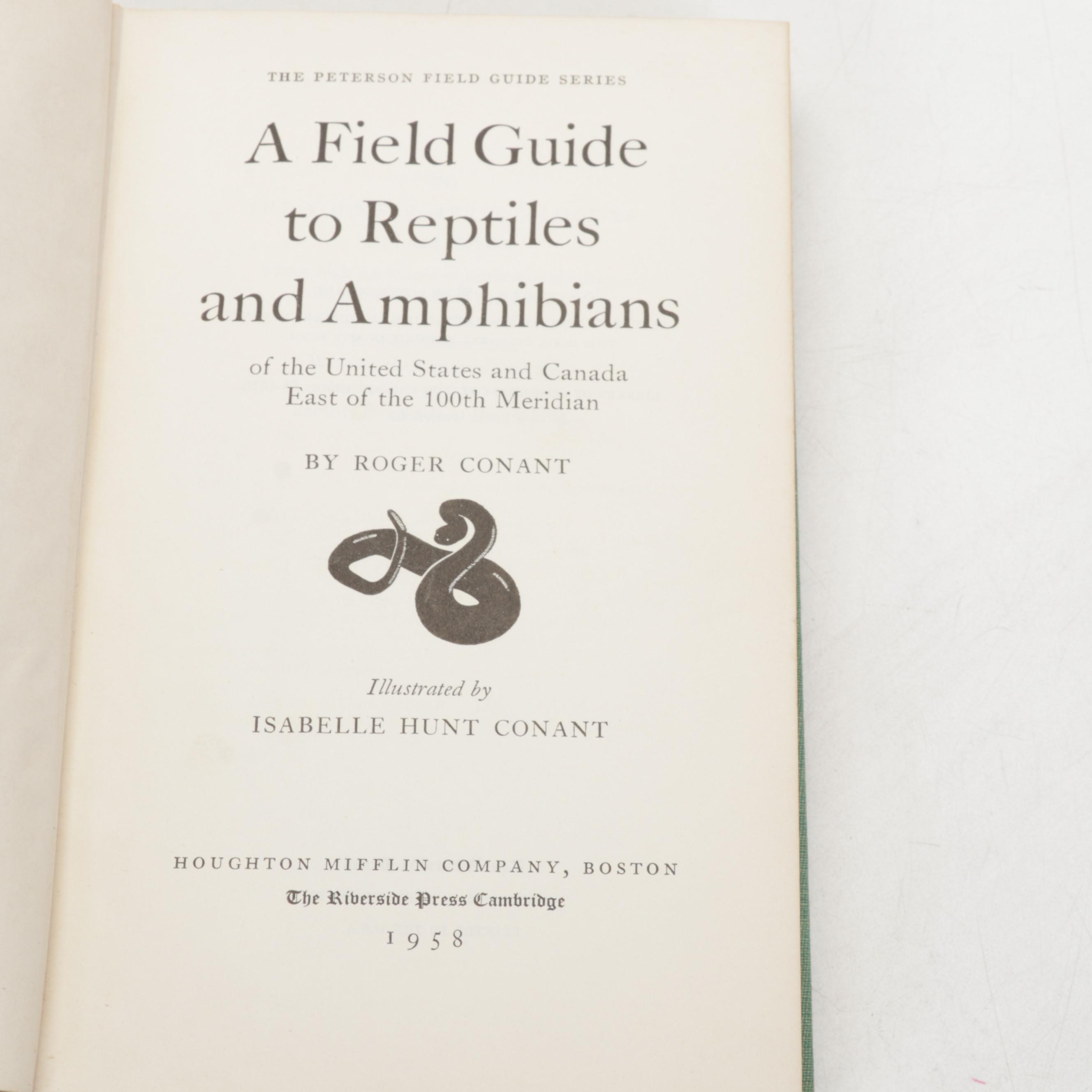 Coralene Glass Vase, Sea Shells, Fossil Coral, Fossil Shark Teeth, Wooden Box