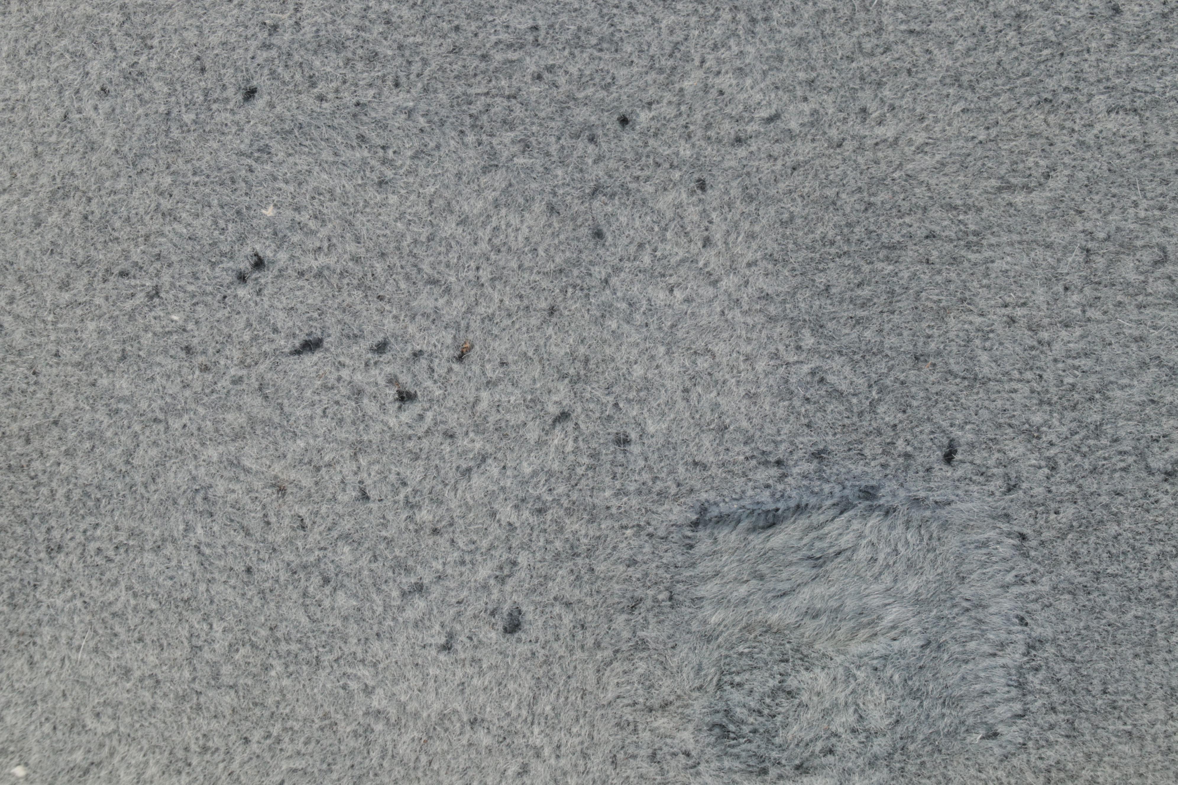 5'1 x 9'8 Hand-Knotted Chinese Carved  Nichols Style Area Rug