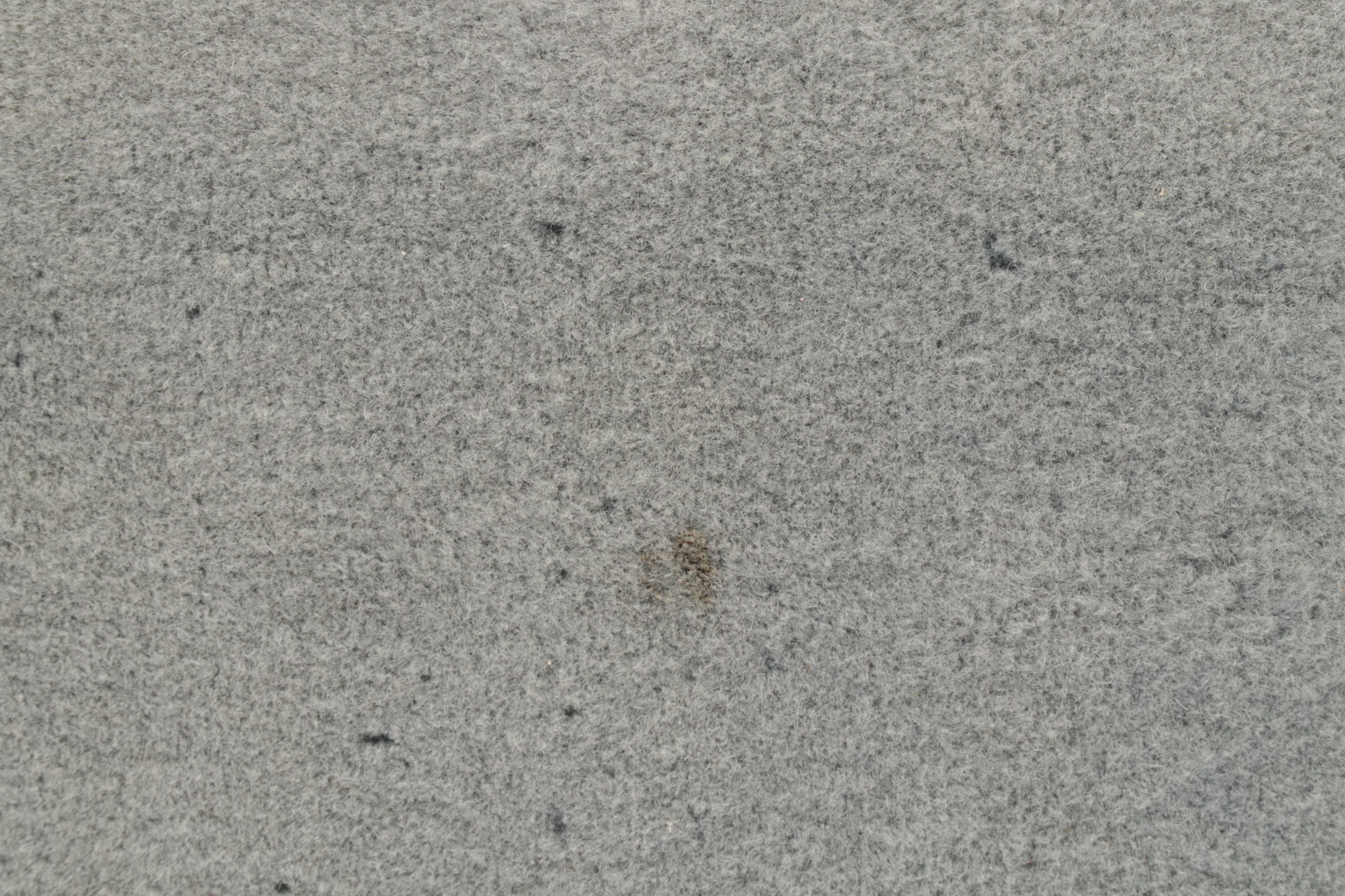 5'1 x 9'8 Hand-Knotted Chinese Carved  Nichols Style Area Rug