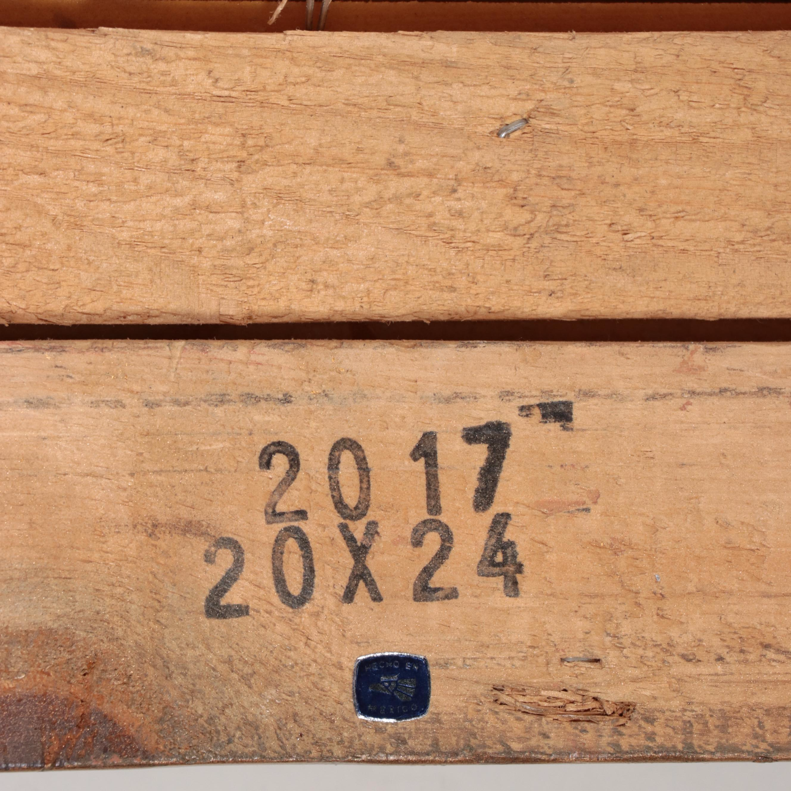 Troy Denton Portrait Oil Painting of a Native American Man