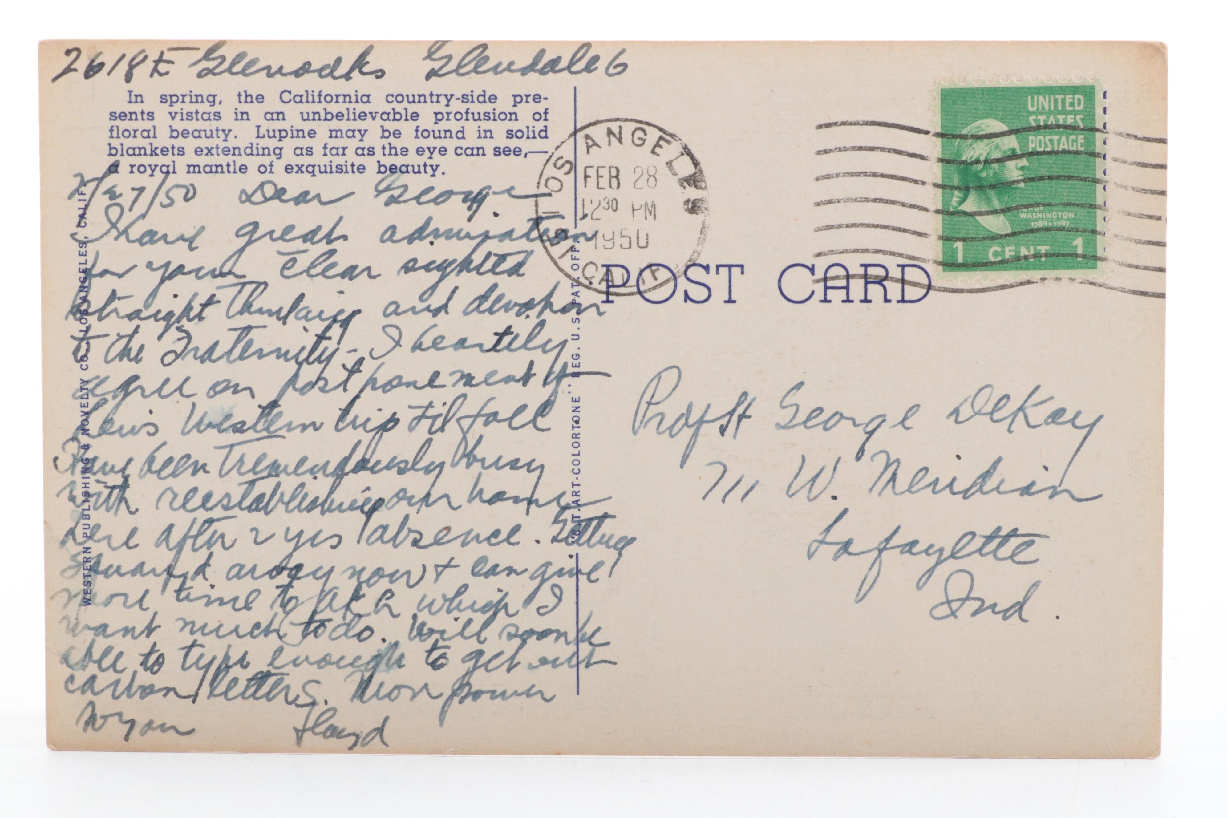 Tichnor Bros. and More United States Landmarks Souvenir Postcards, Early 20th C.