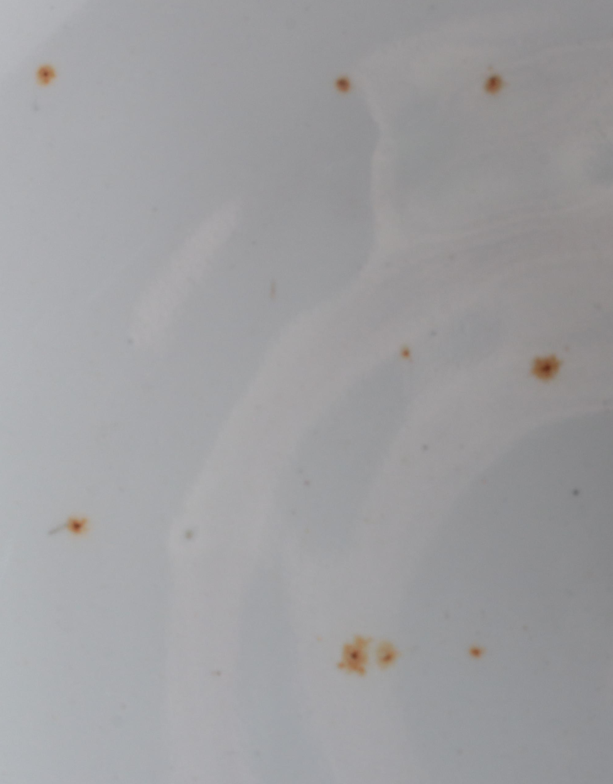 Carolyn Sheffield Botanical Placemats with Italian Ceramic Tureen and Ladle