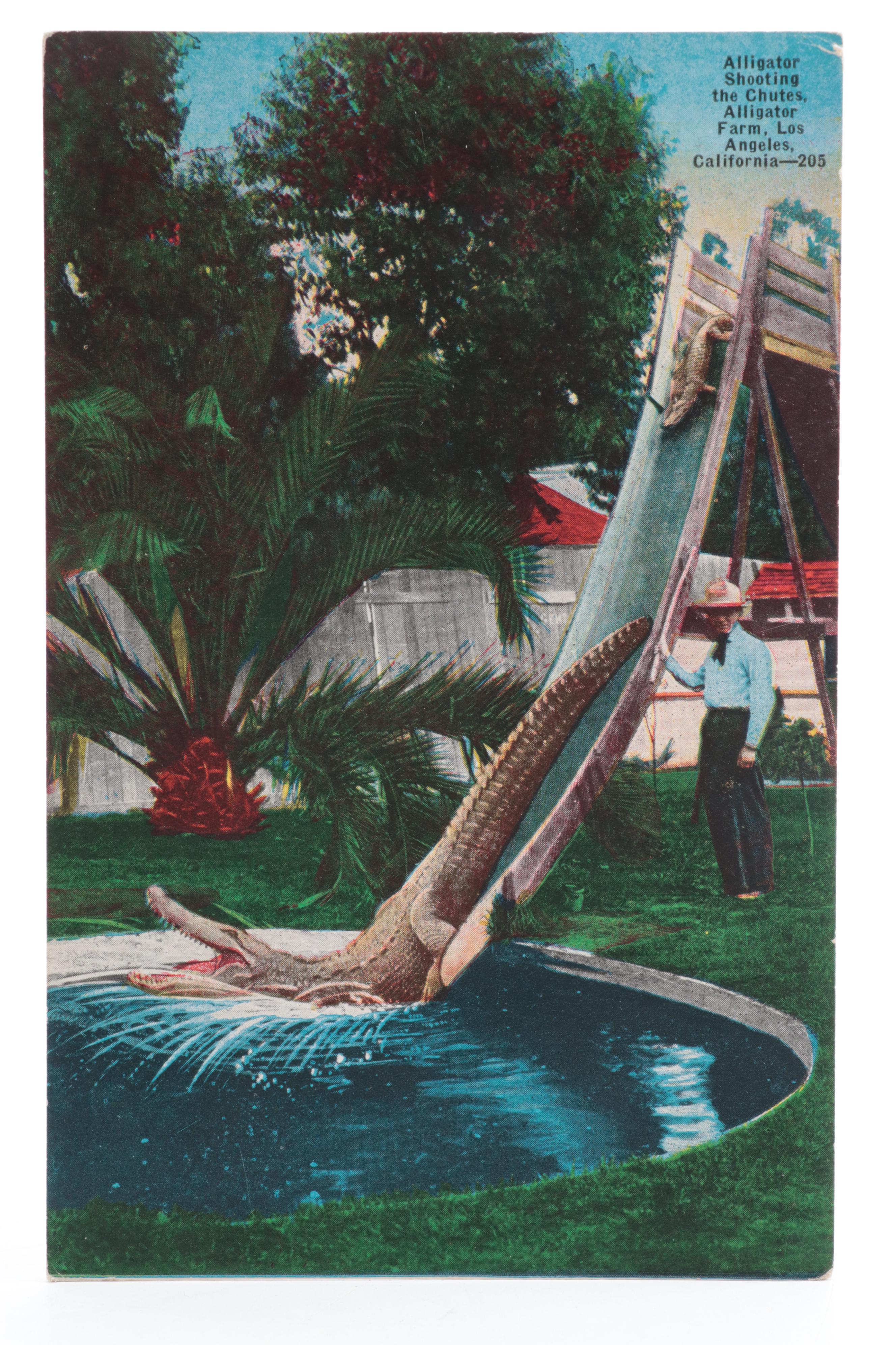 Ohio, Montana, Indiana, New York, Missouri, and Other Souvenir Postcards