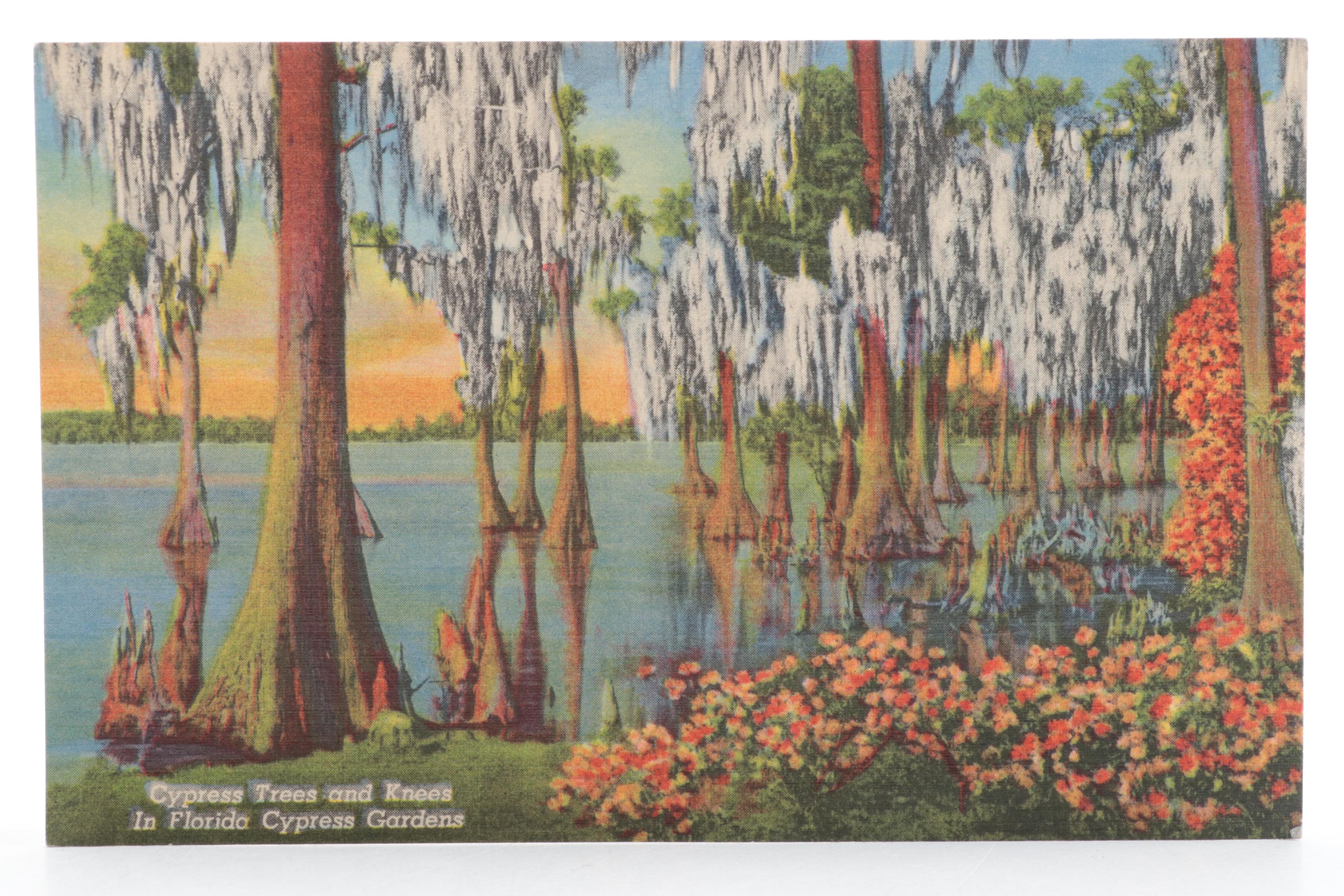 Ohio, Montana, Indiana, New York, Missouri, and Other Souvenir Postcards