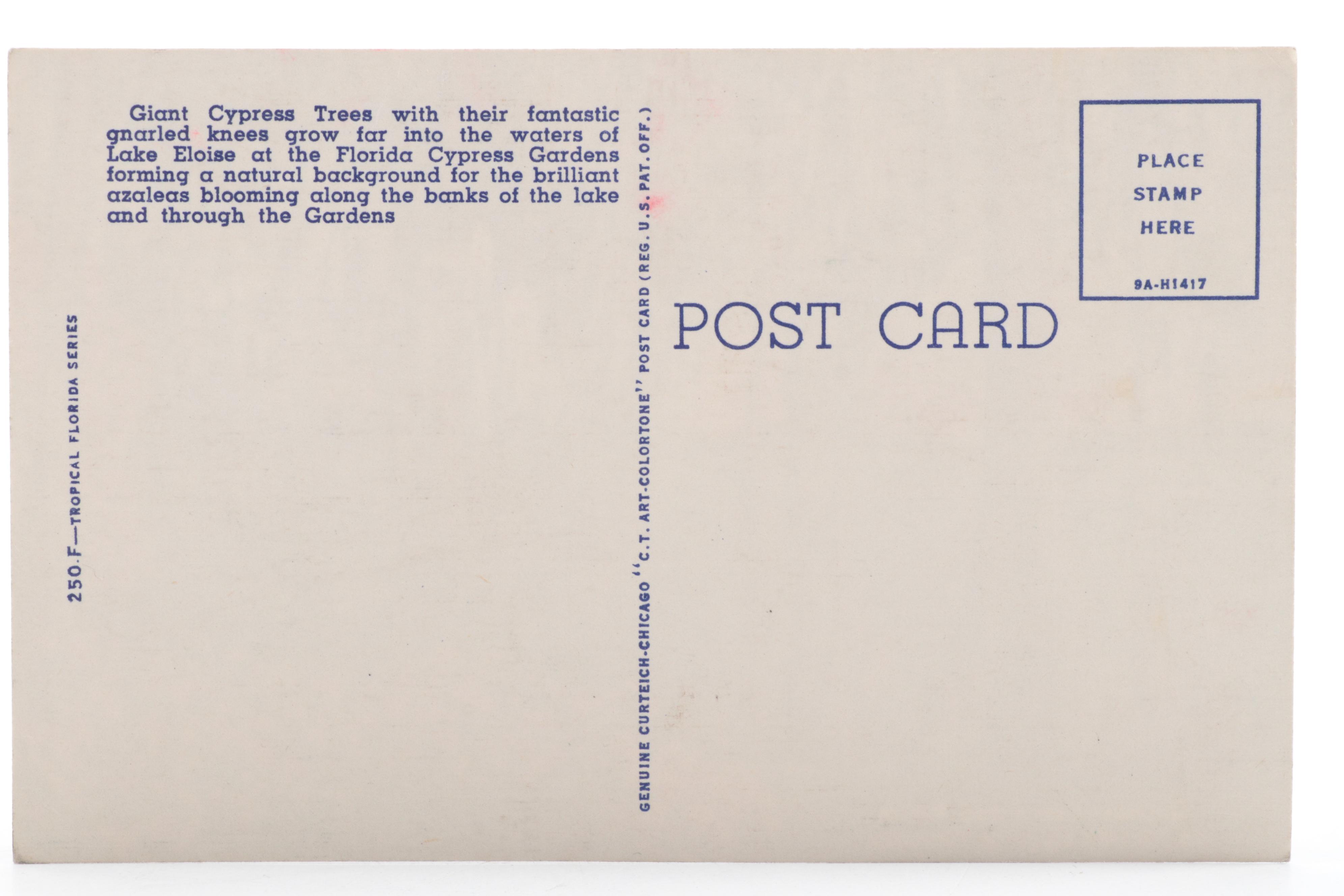 Ohio, Montana, Indiana, New York, Missouri, and Other Souvenir Postcards