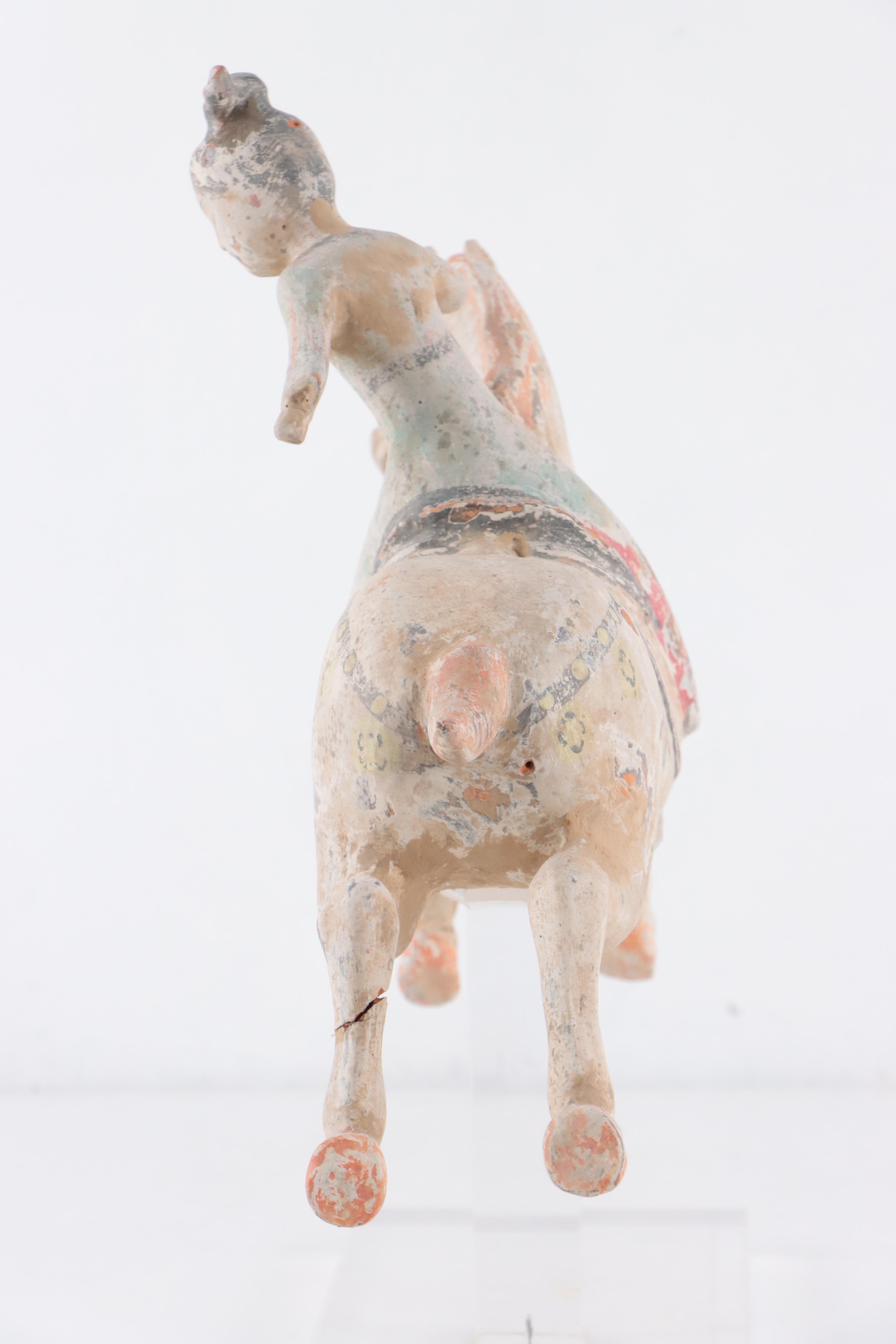 Chinese Tang Dynasty Terracotta Polo Player on Horseback, 8th Century