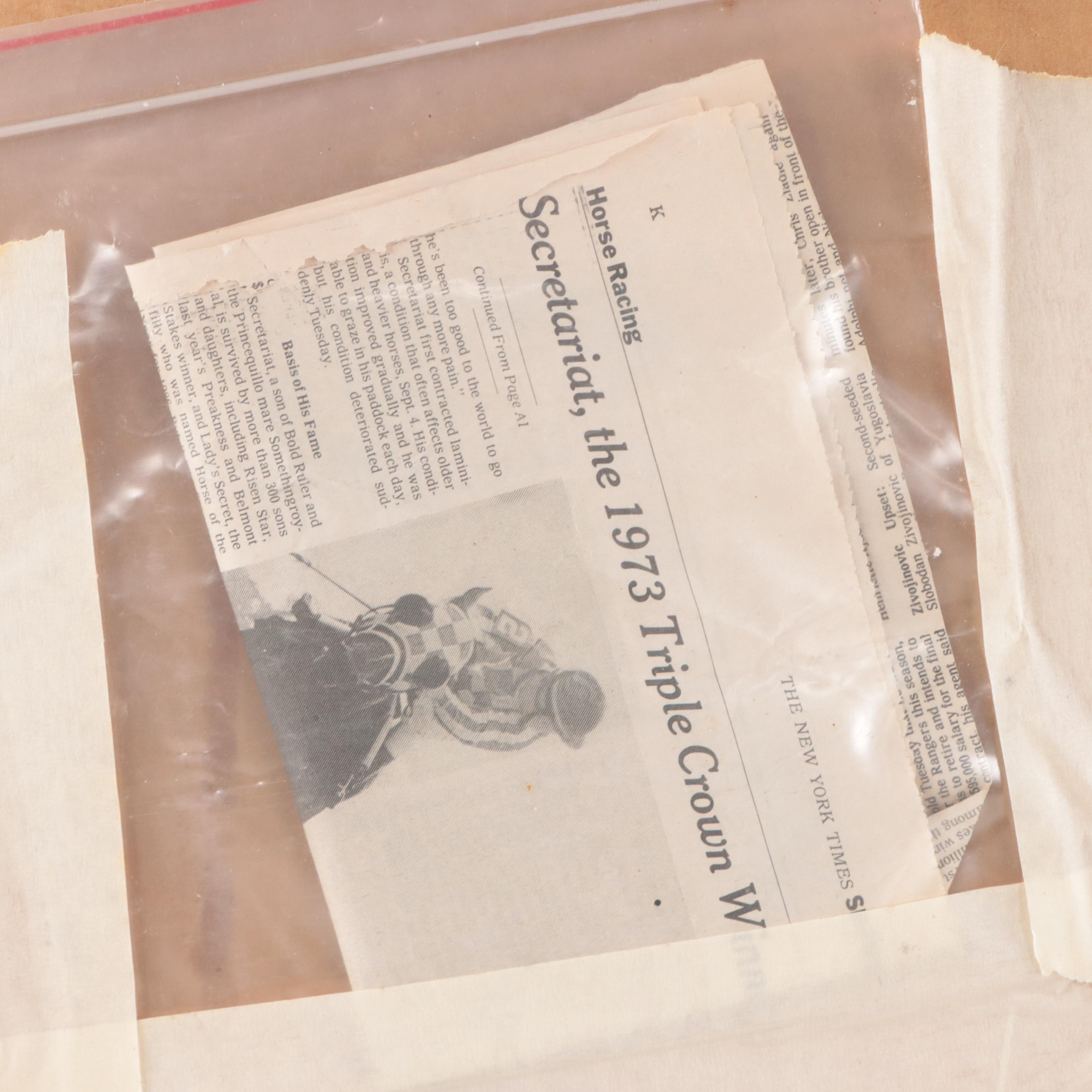 Richard Stone Reeves Offset Lithograph of Secretariat Portrait