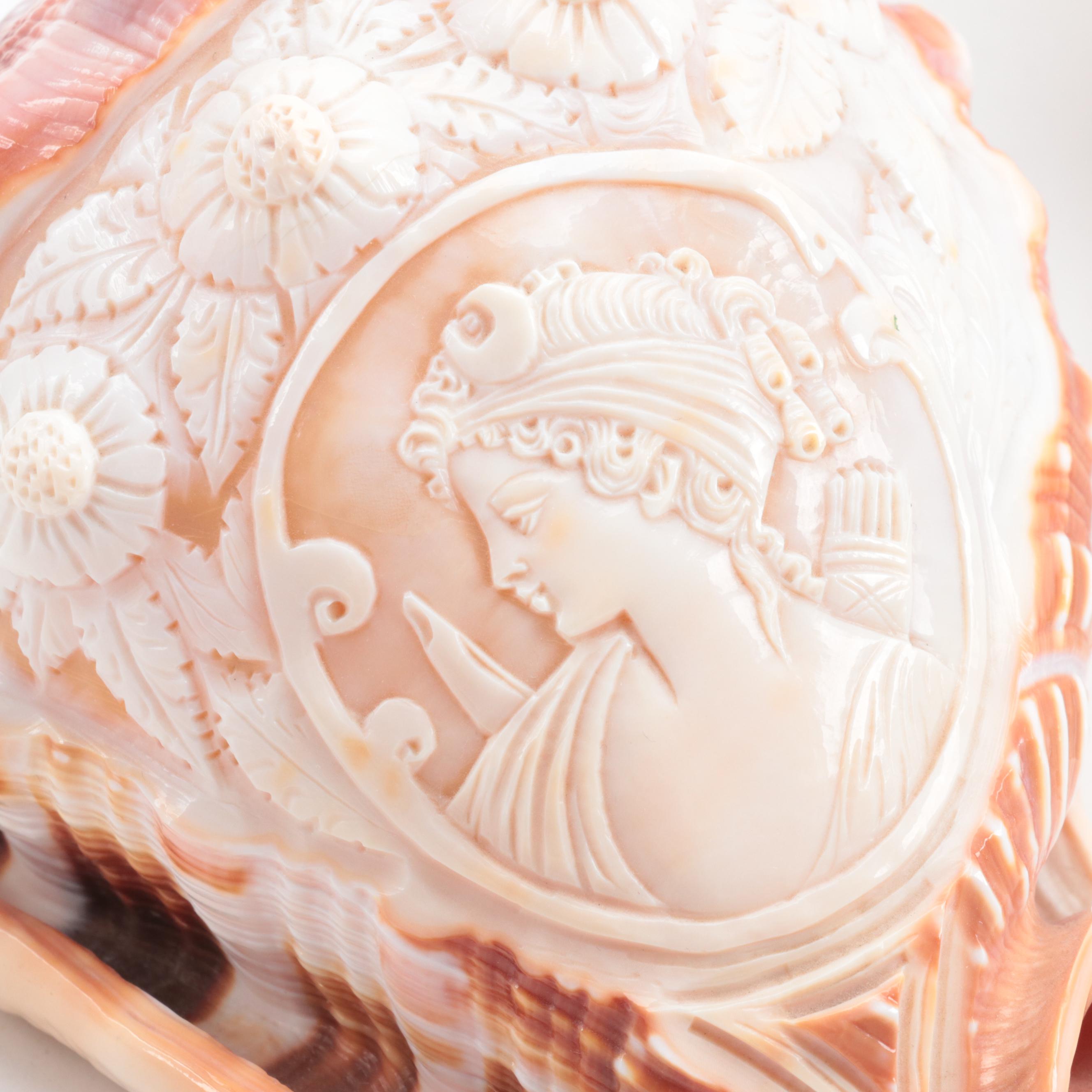 Carved Cameo Helmet and Triton Conch Specimen Shells