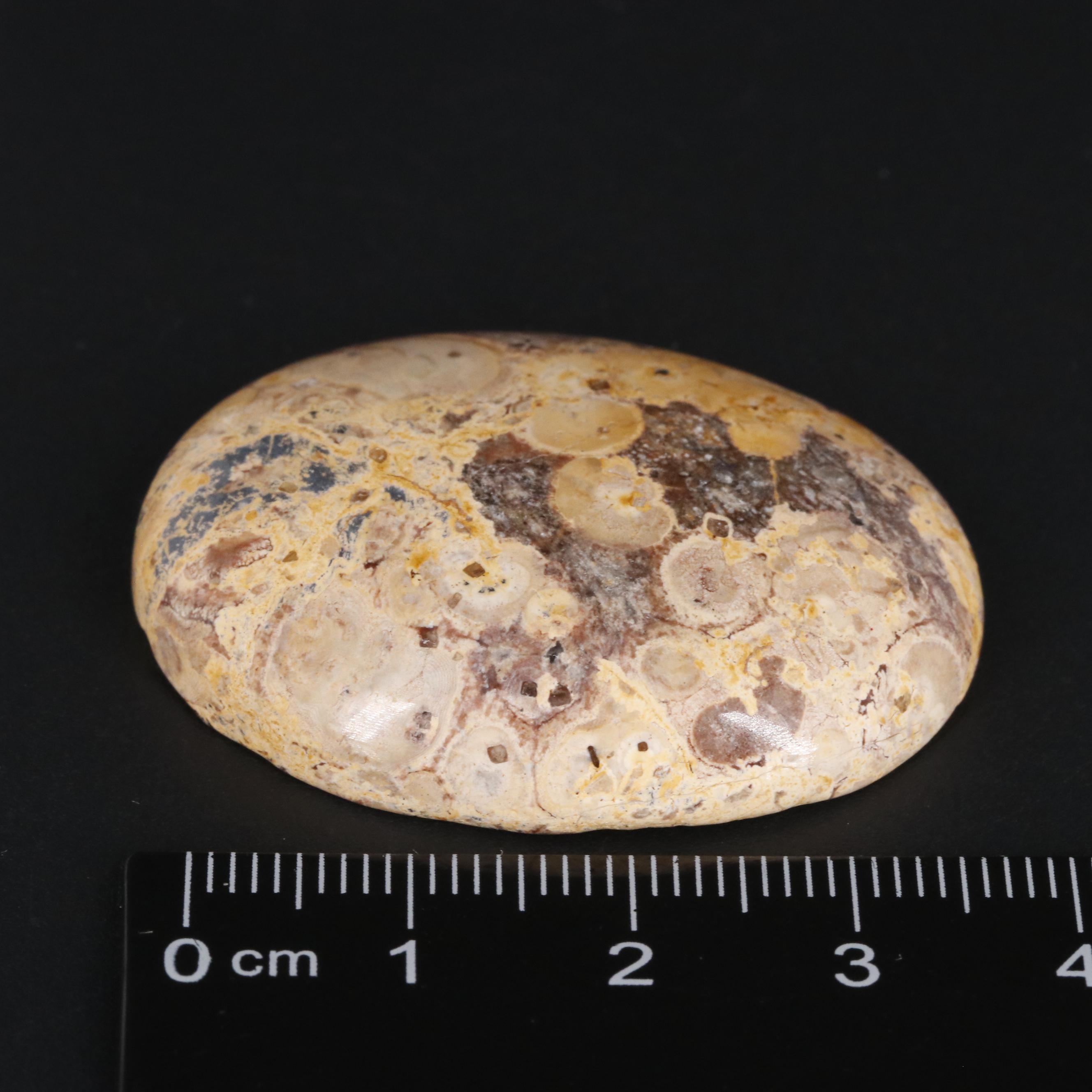 Loose 69.80 CT Jasper