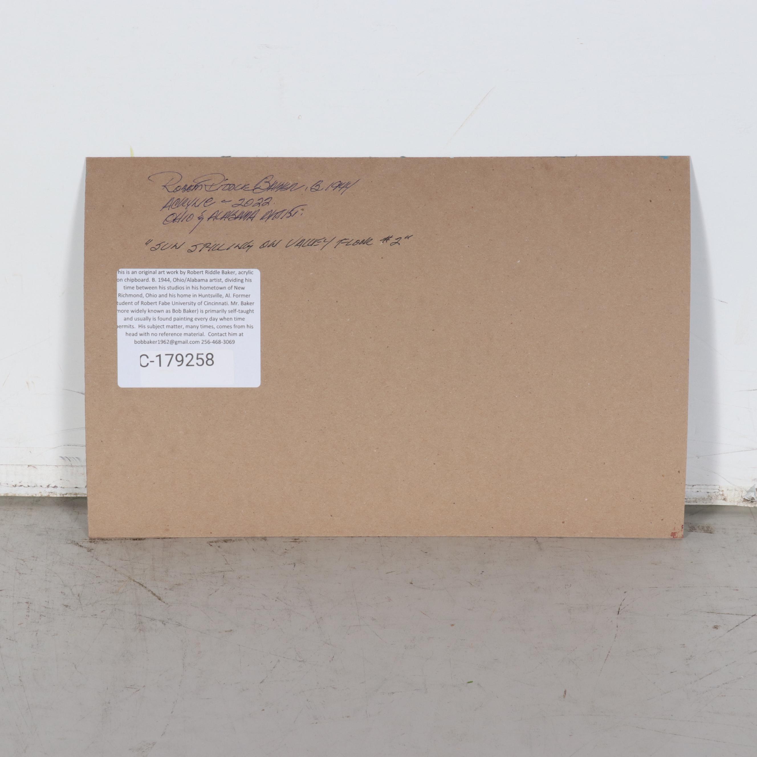 Robert Riddle Baker Acrylic Painting "Sun Spilling on Valley Floor #2"