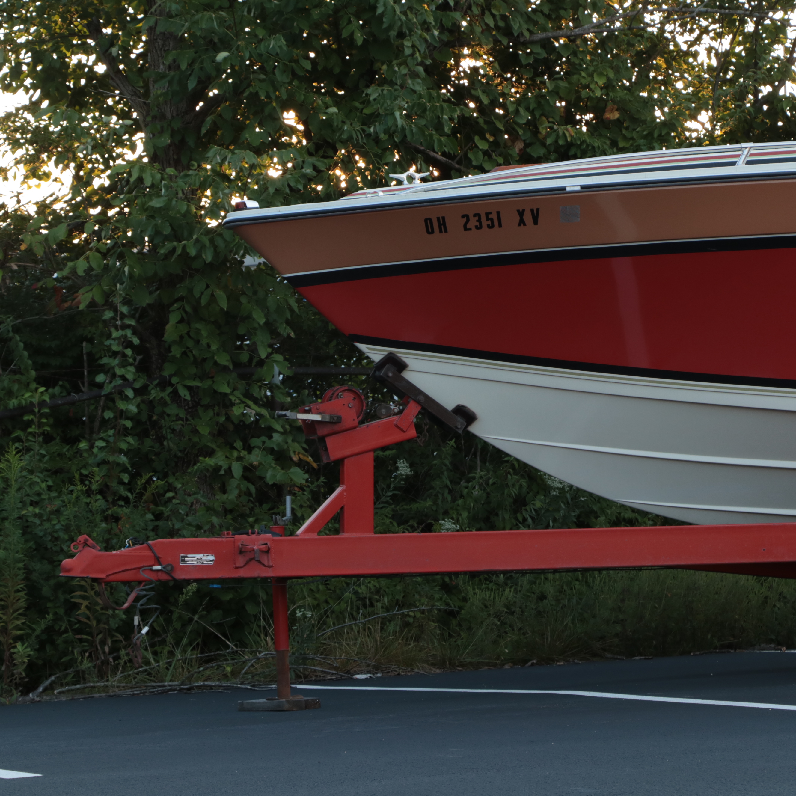 1979 Thunderbird Formula 302 with Trailer