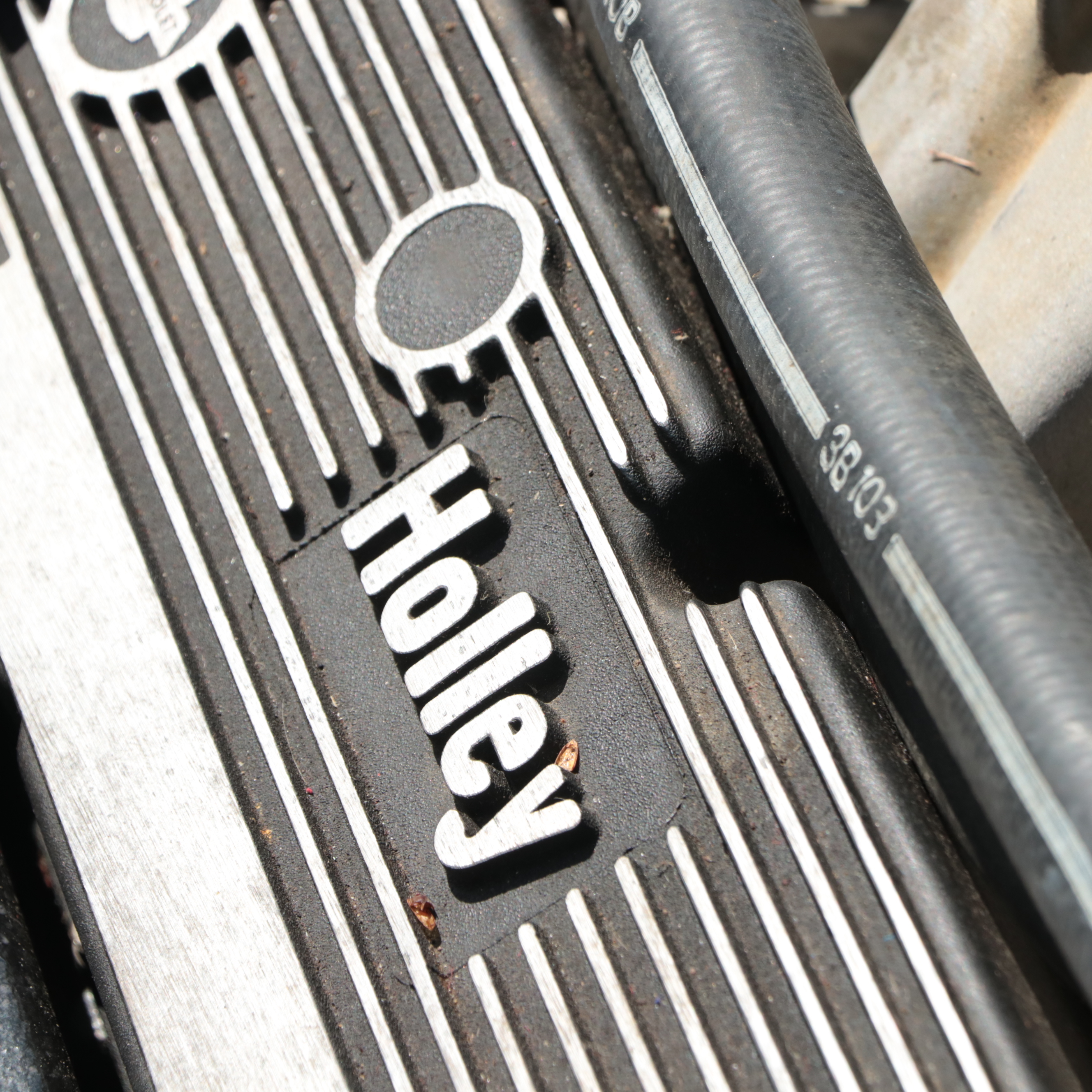 1979 Thunderbird Formula 302 with Trailer