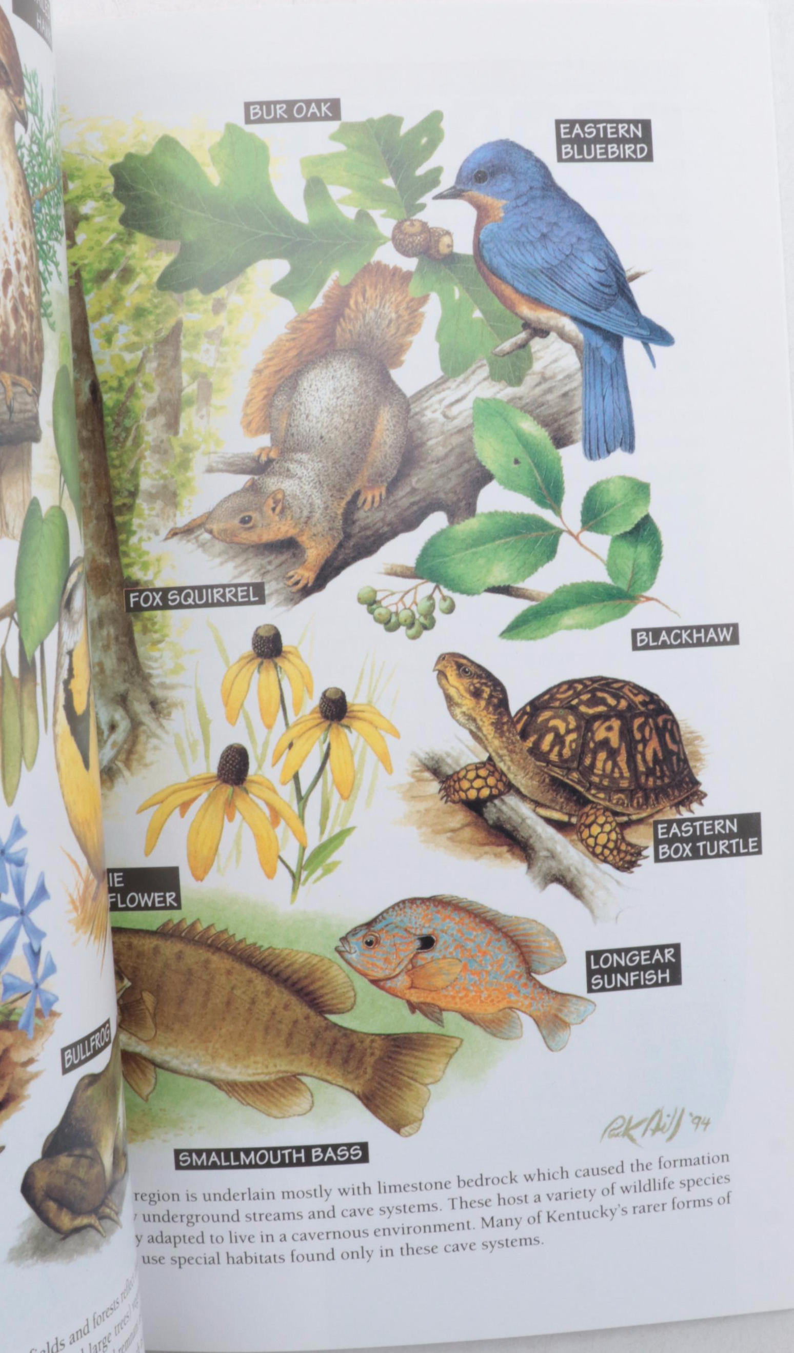 "The Backyard Naturalist" by Craig Tufts and More Nature Guide Books