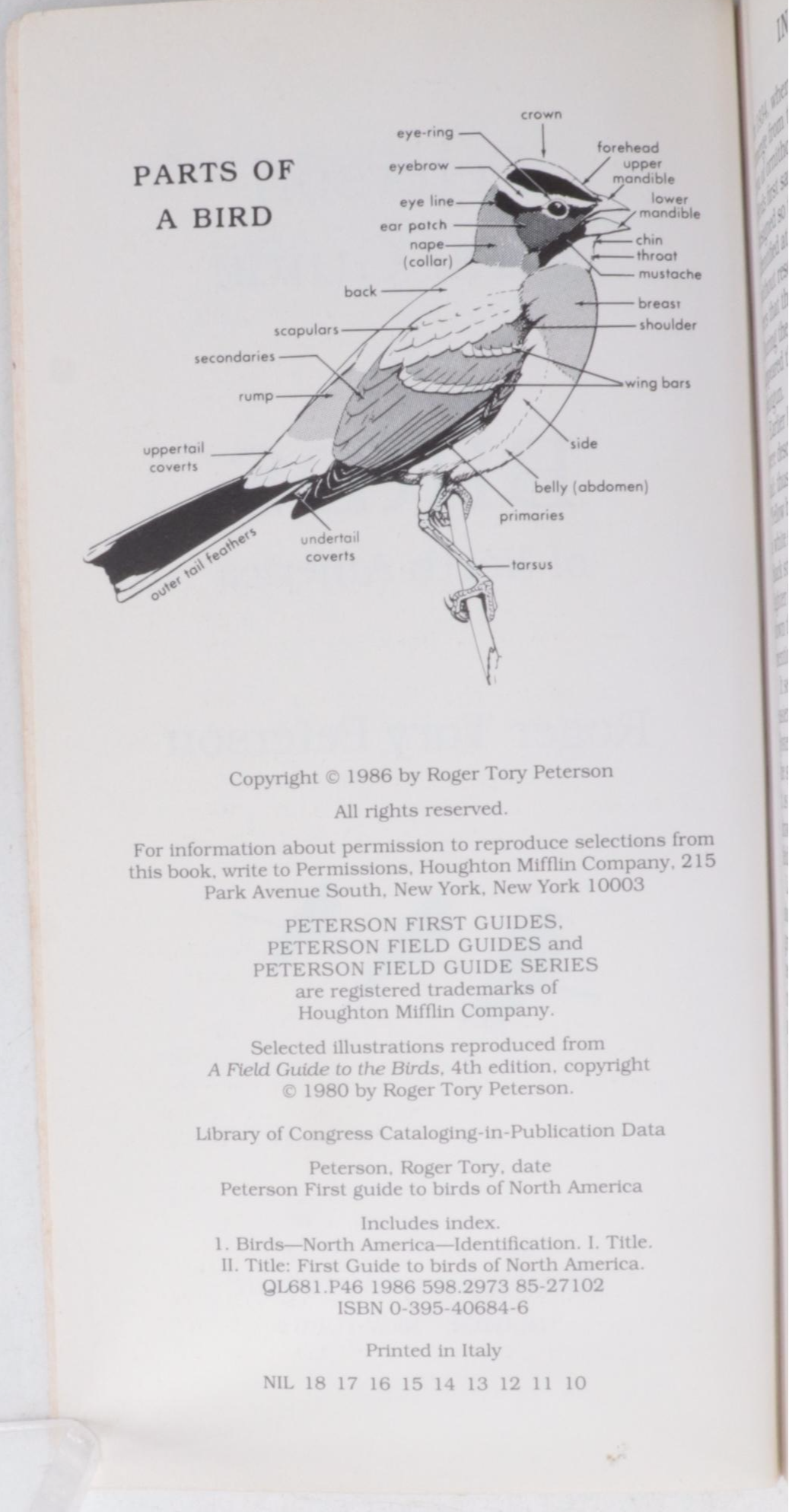 "The Backyard Naturalist" by Craig Tufts and More Nature Guide Books