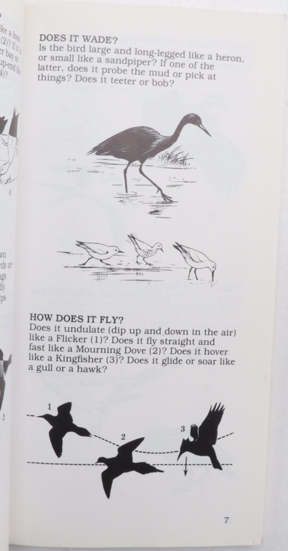 "The Backyard Naturalist" by Craig Tufts and More Nature Guide Books