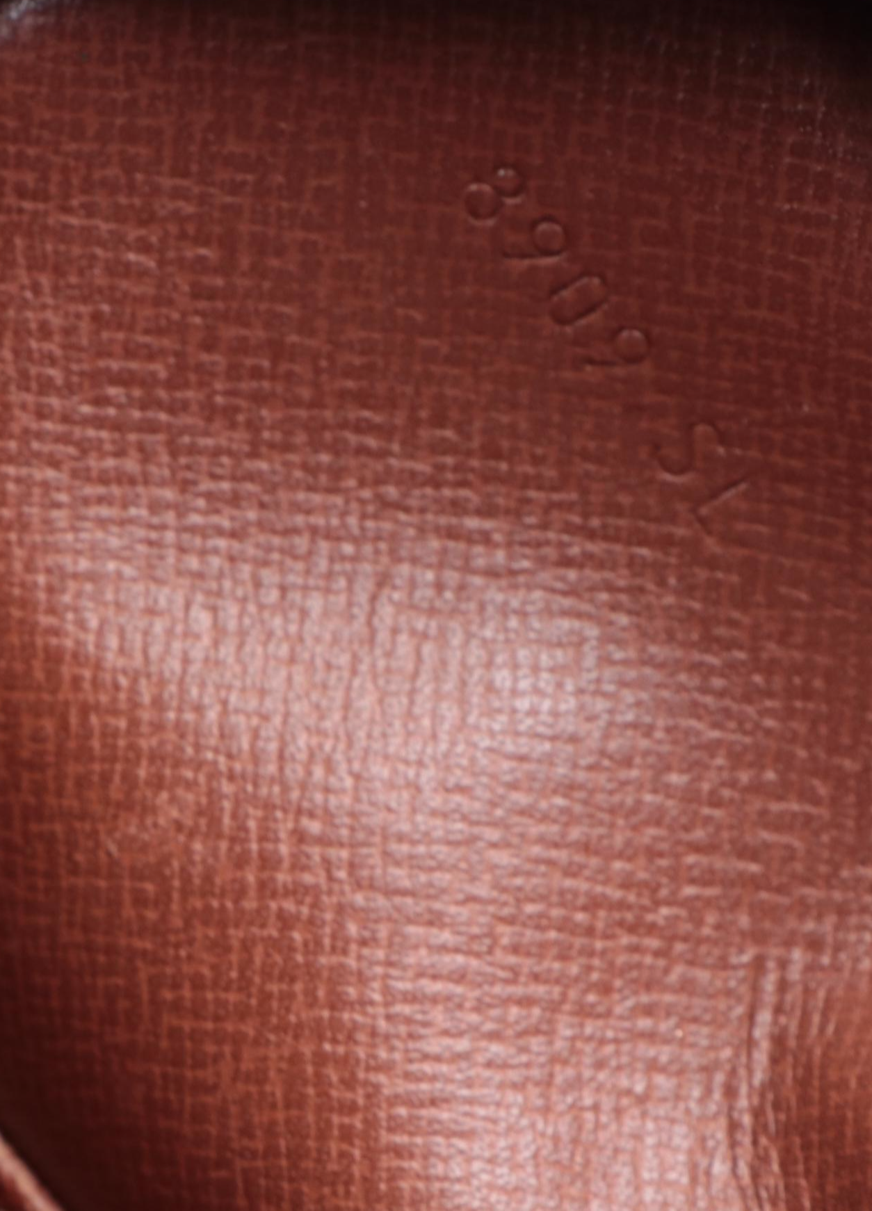 Louis Vuitton Danube Crossbody Bag in Monogram Canvas and Vachetta Leather