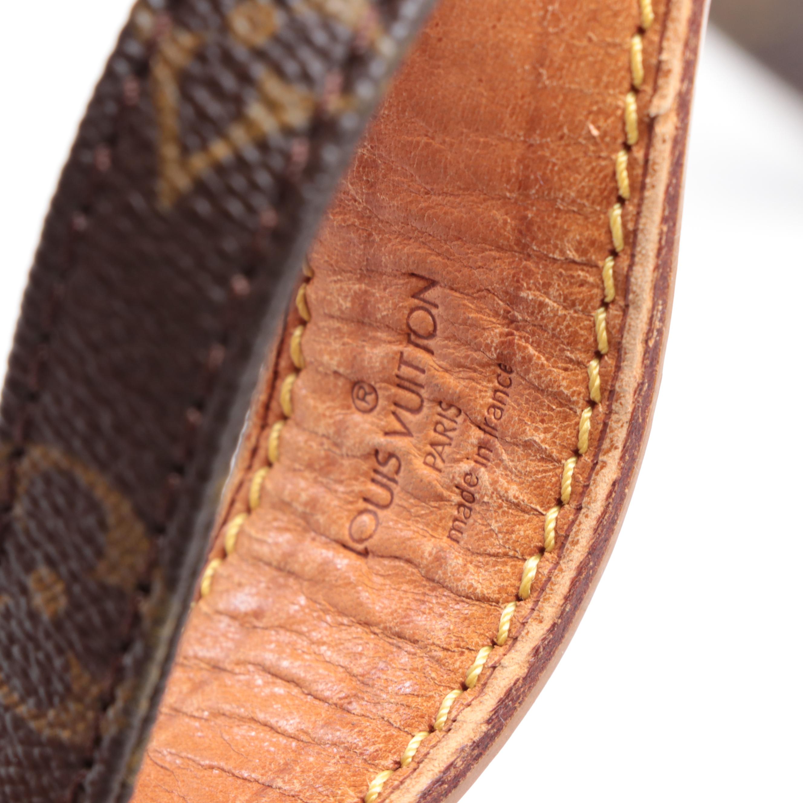 Louis Vuitton Danube Crossbody Bag in Monogram Canvas and Vachetta Leather