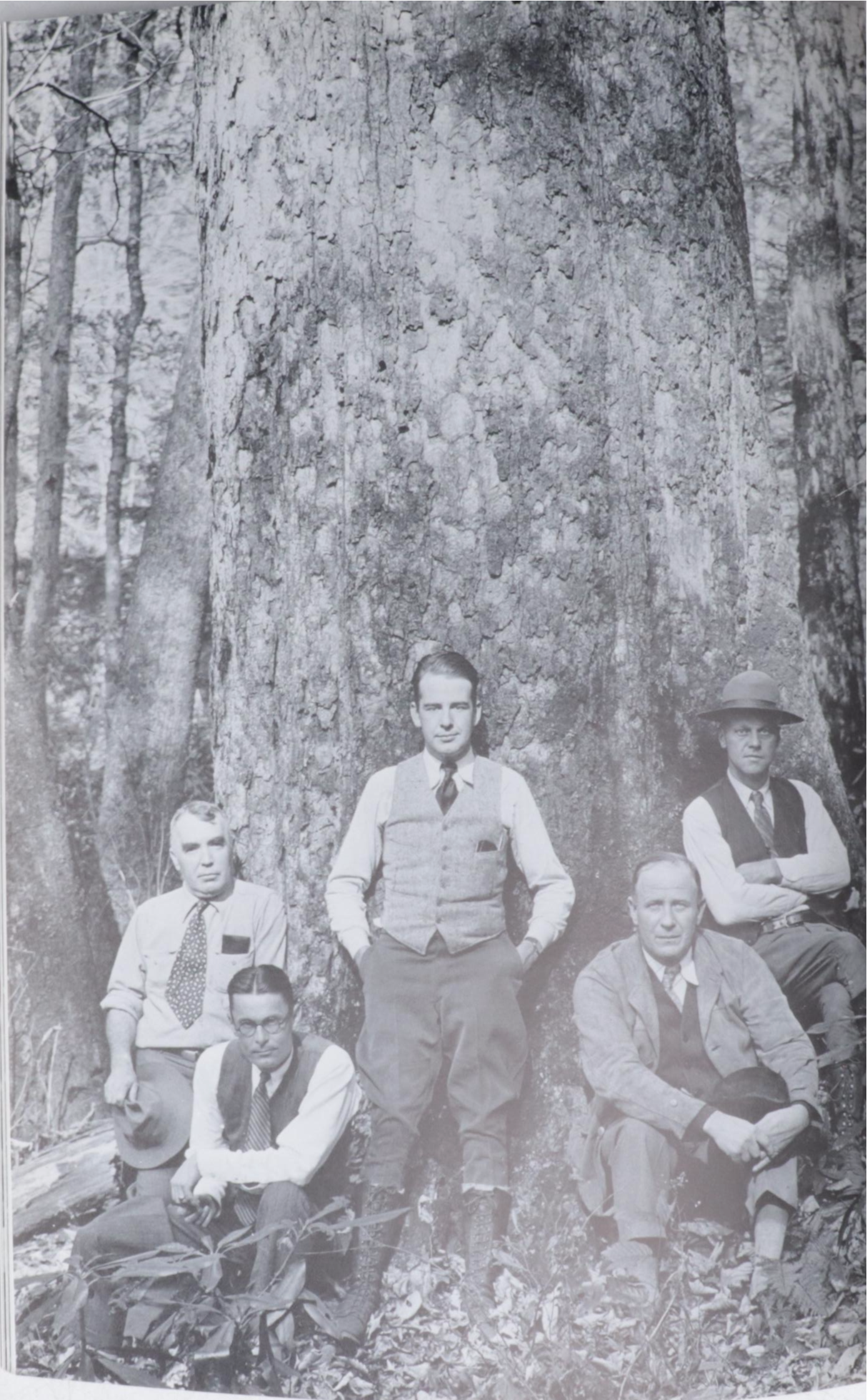 "Frank Lloyd Wright: Glass Art" by Thomas Heinz and More Nonfiction Books