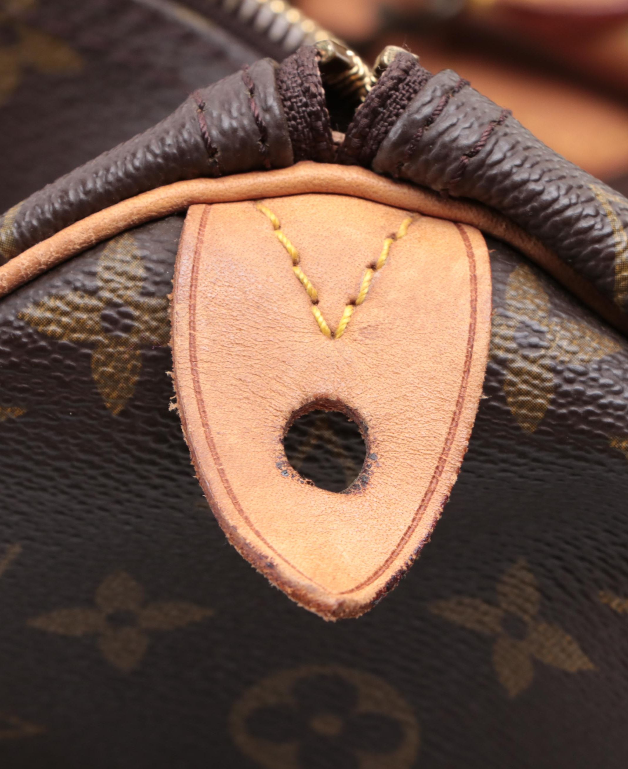 Louis Vuitton Speedy 40 in Monogram Canvas and Vachetta Leather