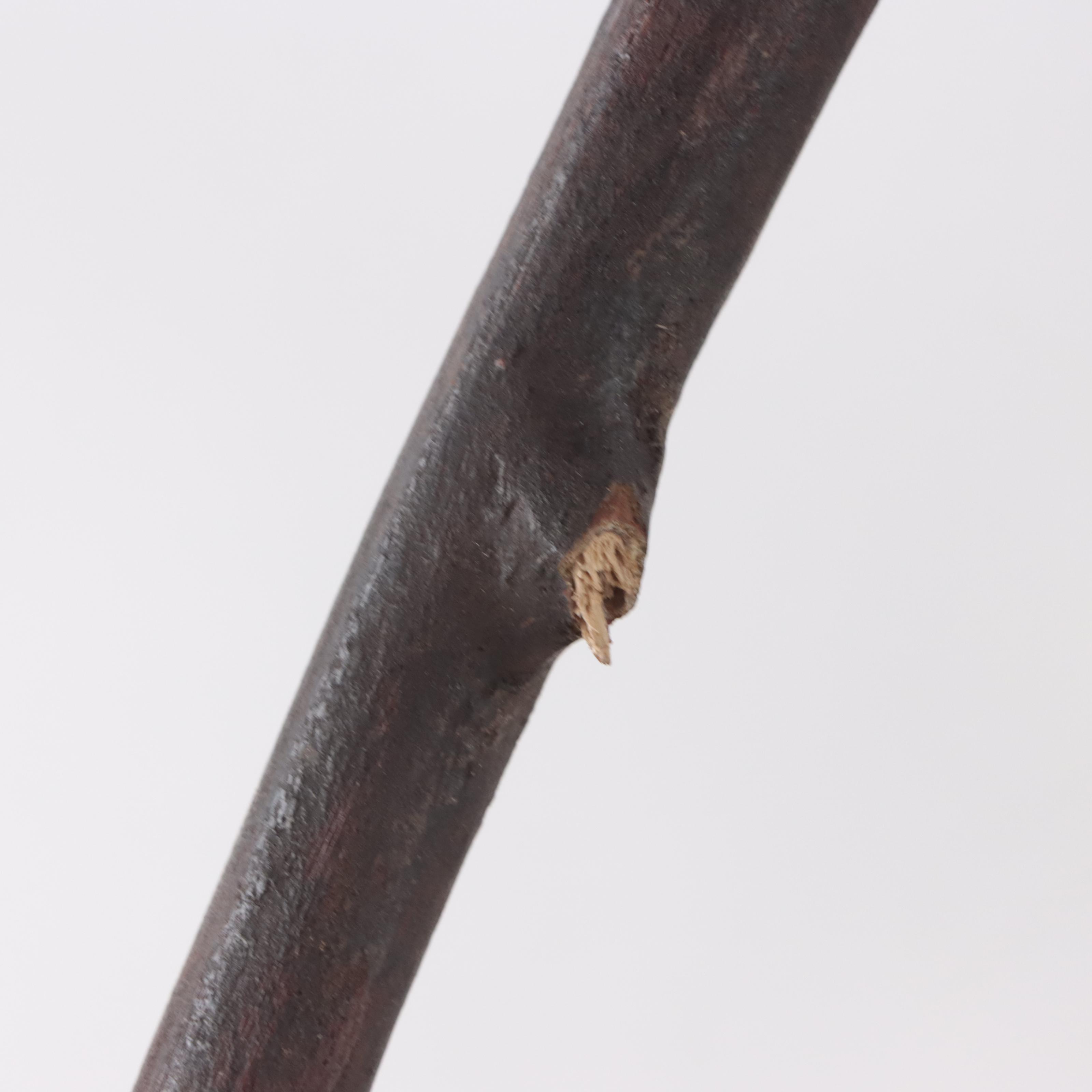 Folk Art Carved Wood Stick Figures