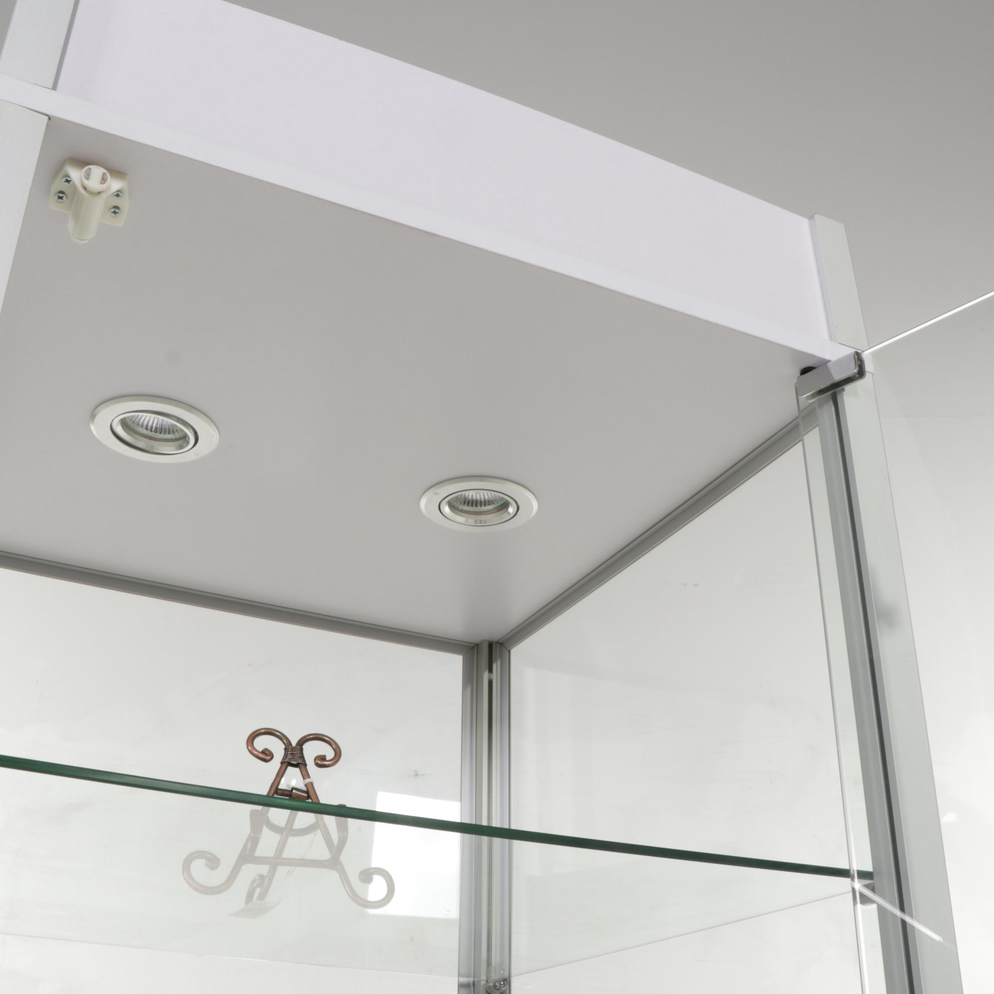 Lighted Display Cabinet, 21st Century