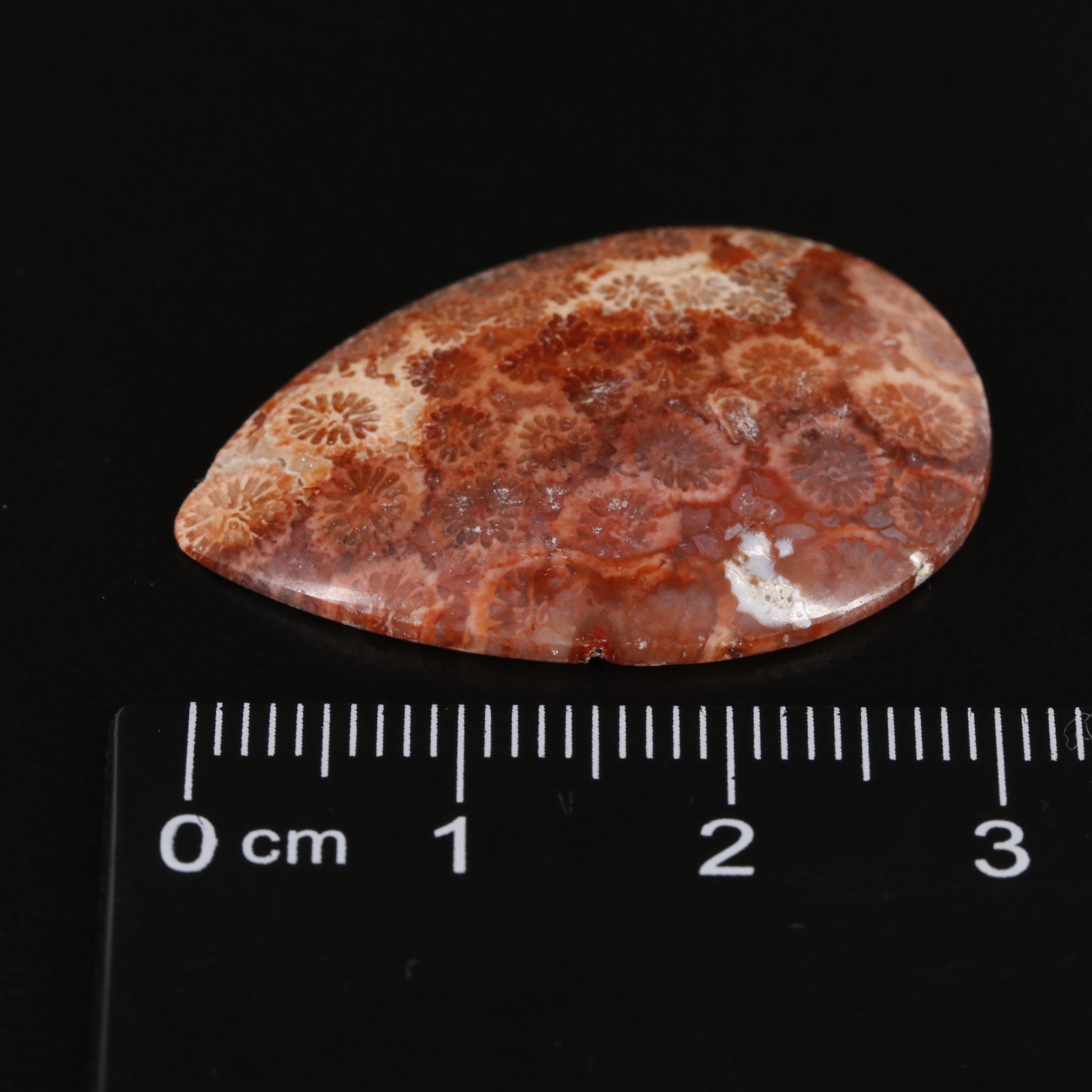 Loose 17.60 CT Jasper
