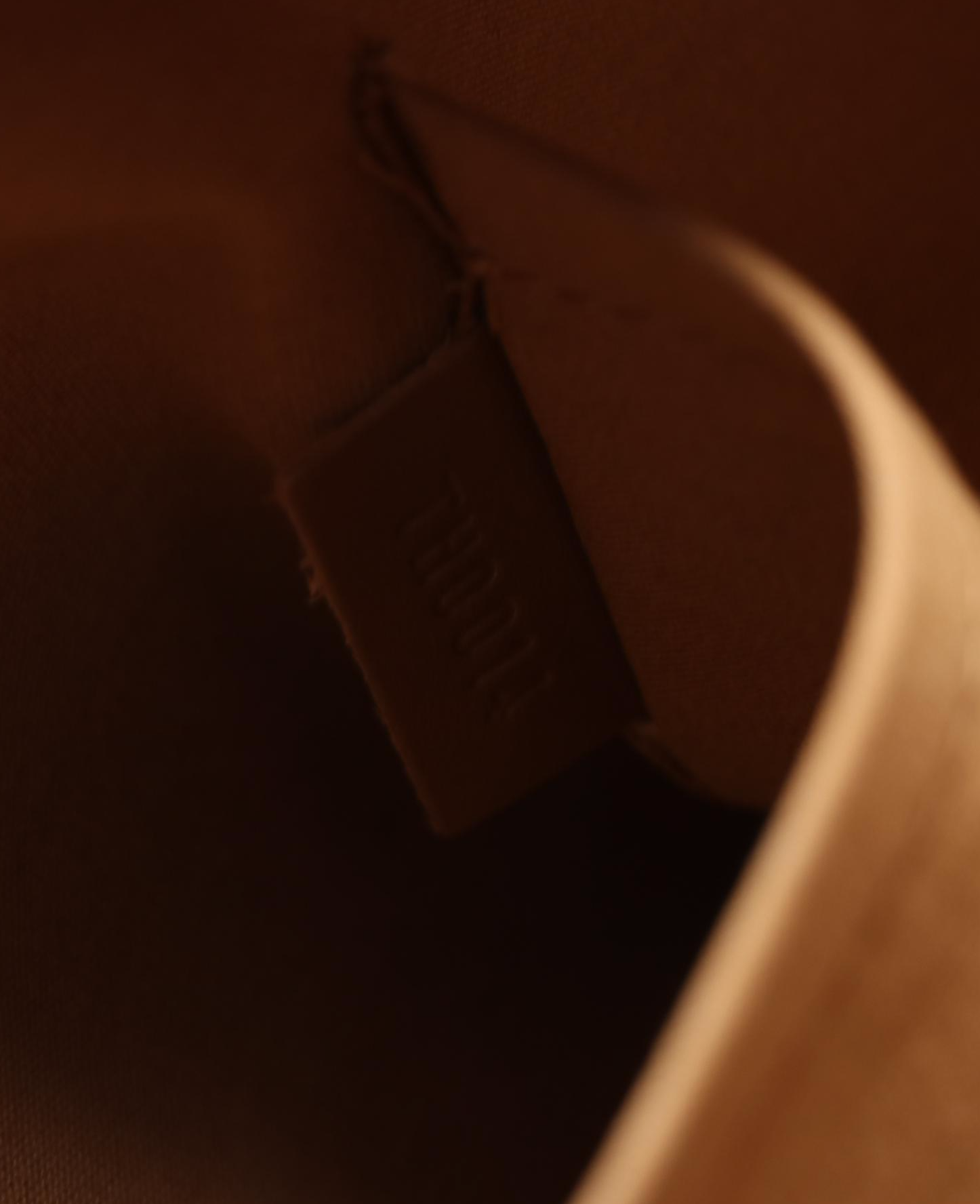 Louis Vuitton Shelton Bag in Monogram Mat Leather