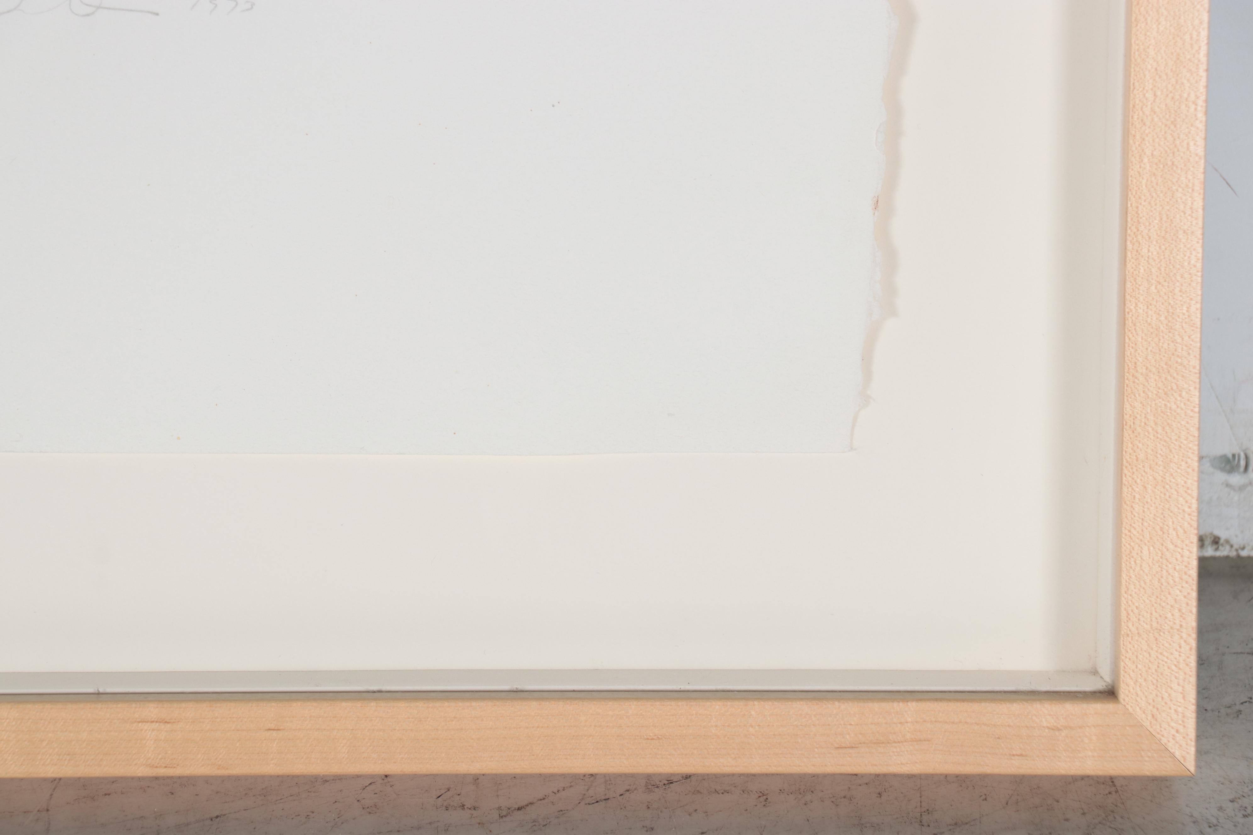 Gene B. Davis Color Lithograph "Narcissus," 1973