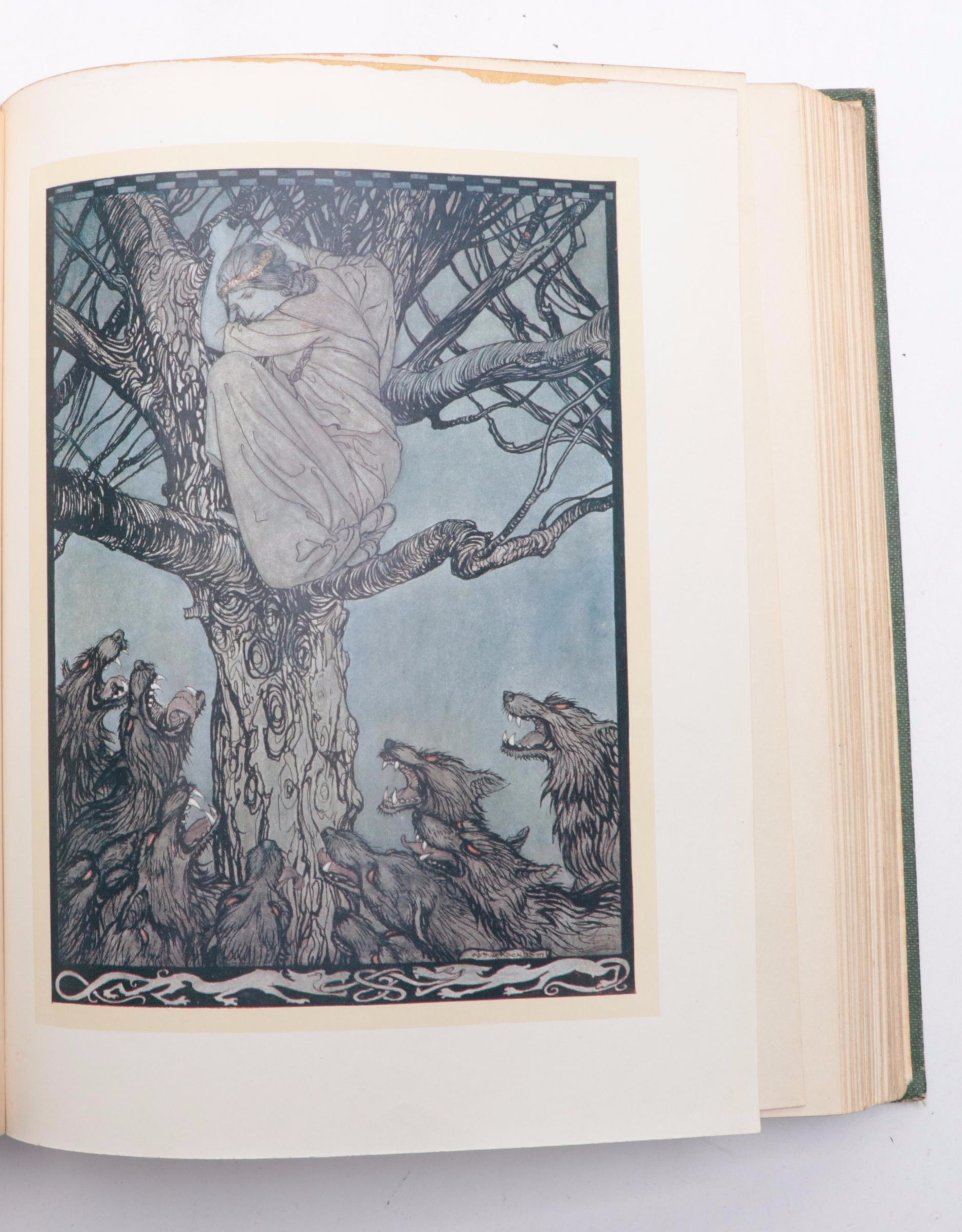 Arthur Rackham Illustrated "Irish Fairy Tales" by James Stephens, 1920